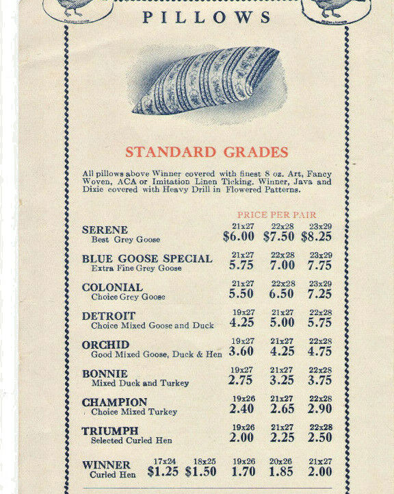 VINTAGE 1928 PILLOW & BULK FEATHER BROCHURE W/PRICES! TURKEY, GOOSE, DUCK DOWN!