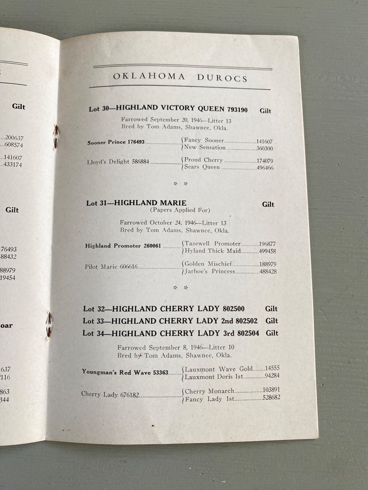 Vintage Durocs Hogs Pig Sale Catalog Book Oklahoma City OK 1947 Farm Ag Ephemera