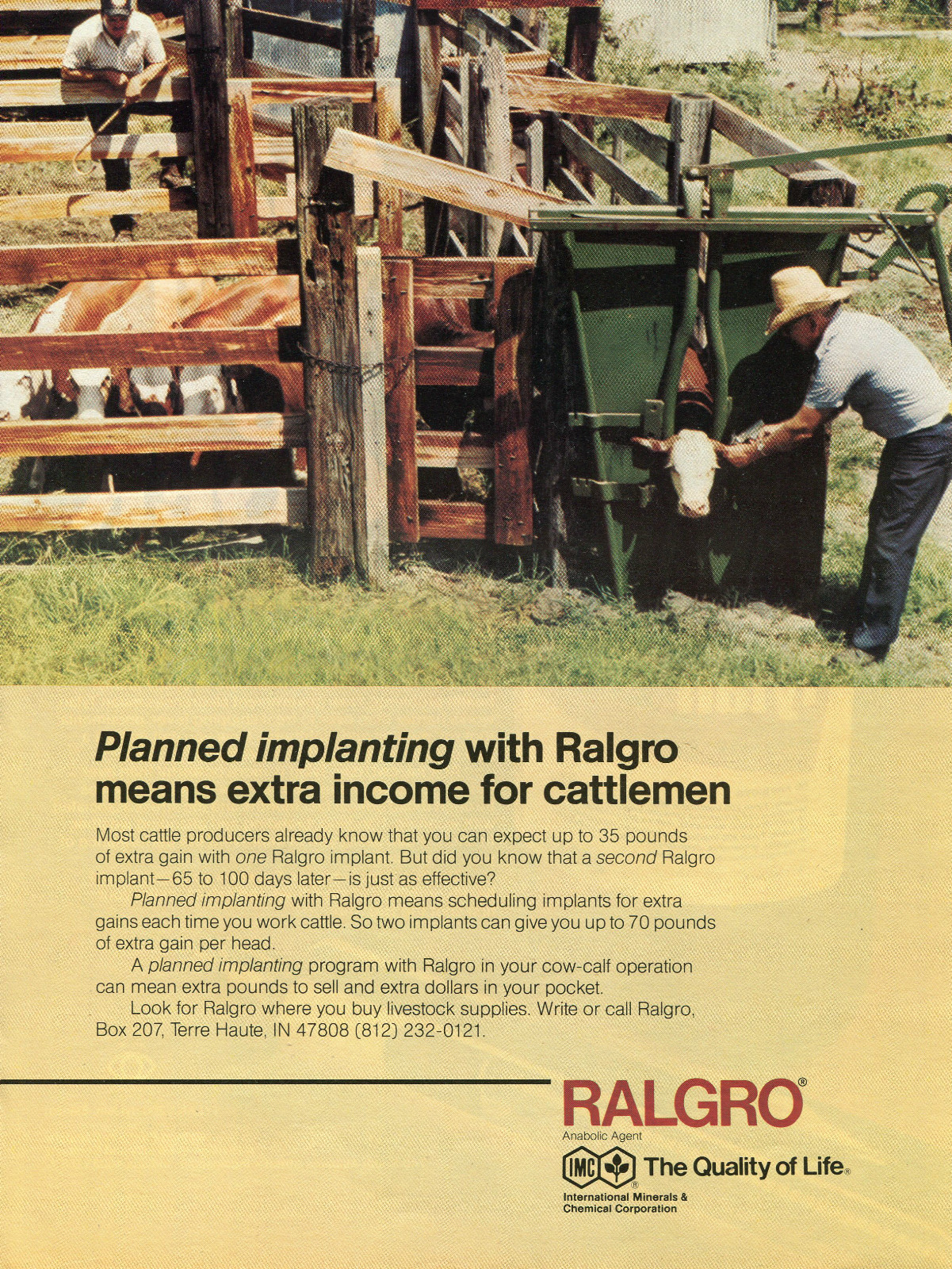 1982 Print Ad of IMC Ralgro Cattle Cow Anabolic Implant