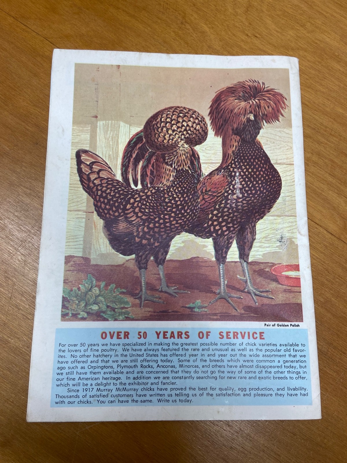 Murray McMurray Hatchery Catalog 1970’s