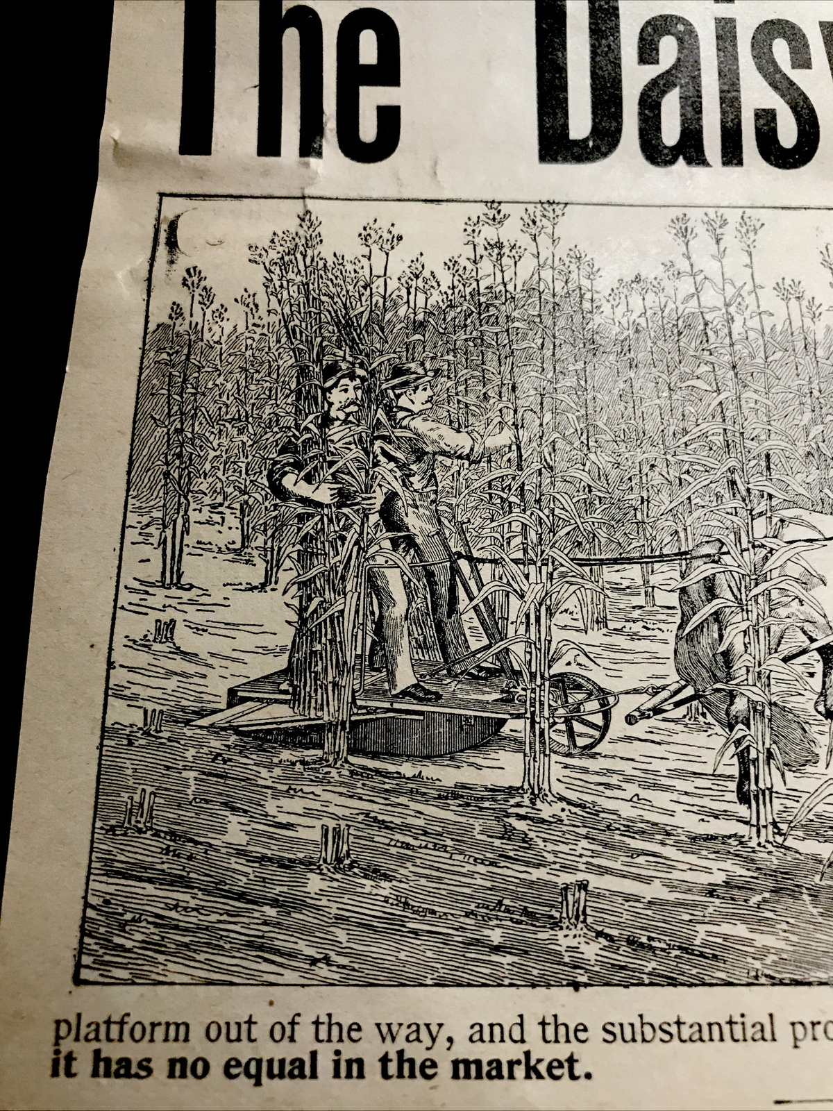 1893 Butt Daisy Corn Harvester Farm Engraving Advertising – Springfield – Ohio
