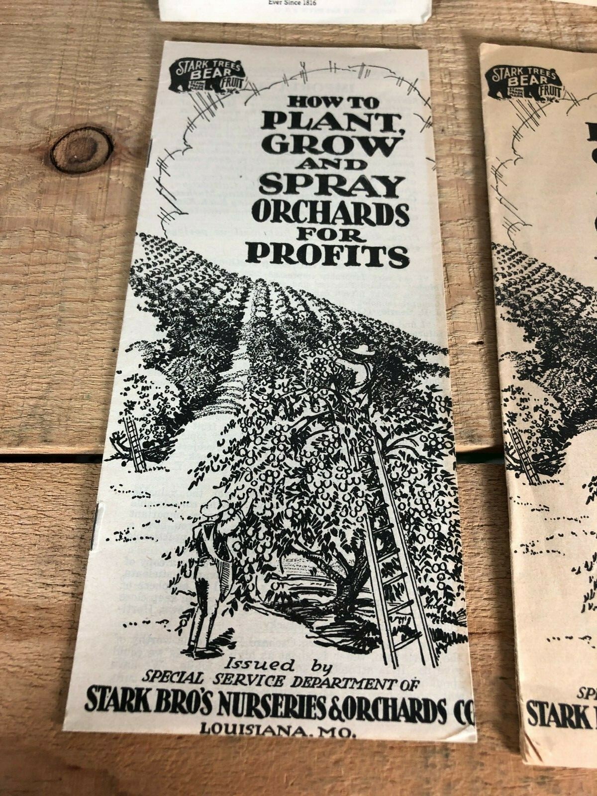 4 Vintage 1930s Stark Bro’s Nurseries Orchard Fruit Trees Brochures Catalogs