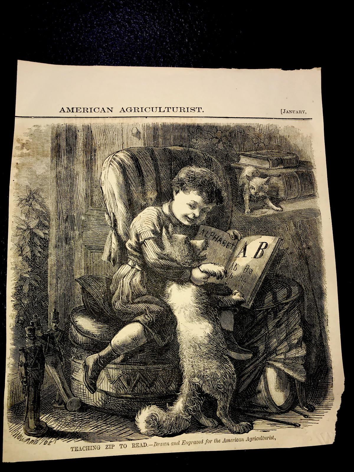 ORIGINAL 1872 TEACHING ZIP TO READ Engraving Advertising Dog Cat