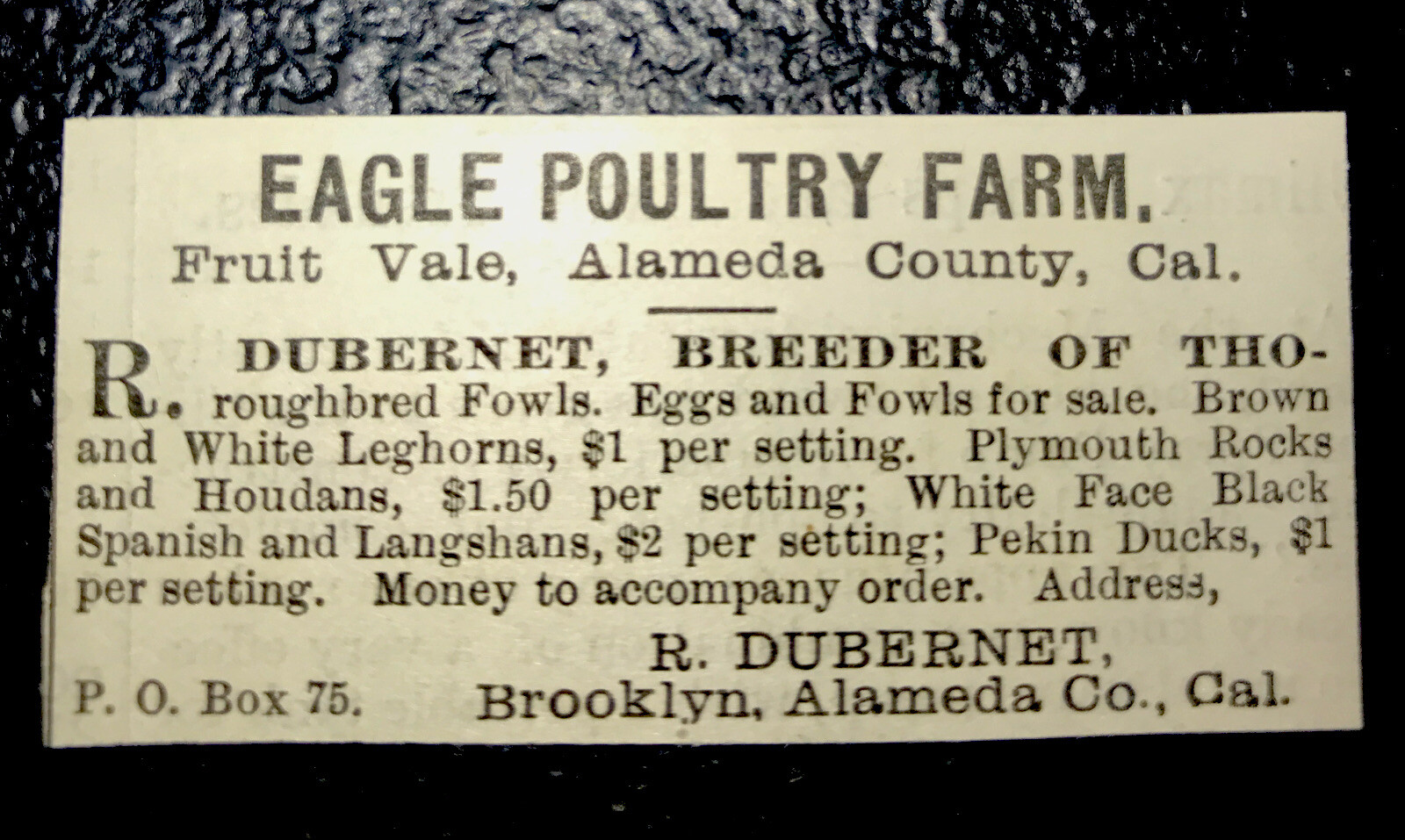 1885 Eagle Poultry Yard Chicken Farm Advertising – Fruitvale – California