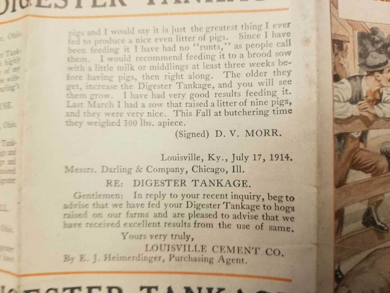 VINTAGE AGRICULTURE BROCHURE. DARLING’S DIGESTER TANKAGE.