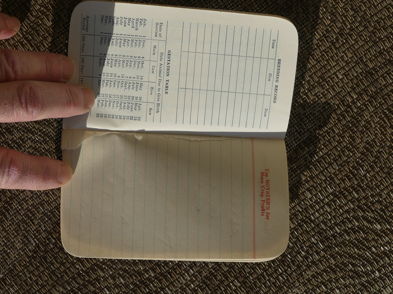 Vintage Royster Advertising Fertilizer Guano Farm Agriculture Calendar Booklet