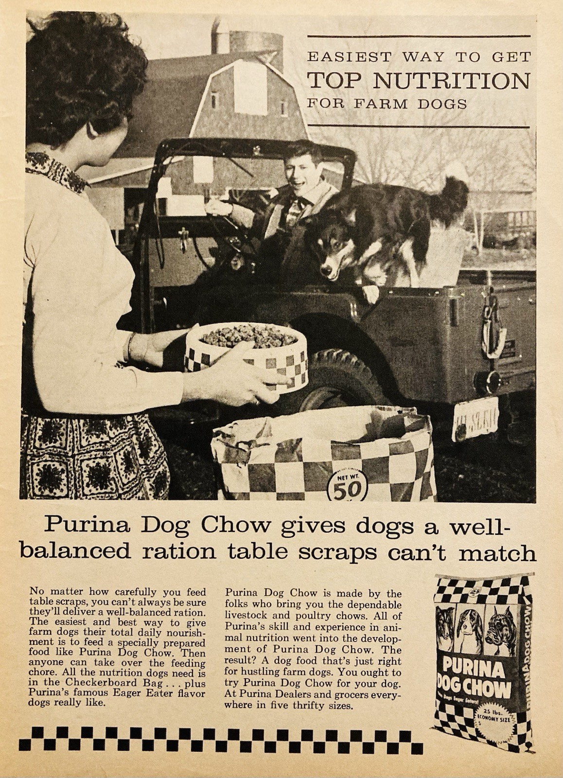 1961 AD.(XH84)~PURINA CO. PURINA DOG CHOW FOR FARM DOGS