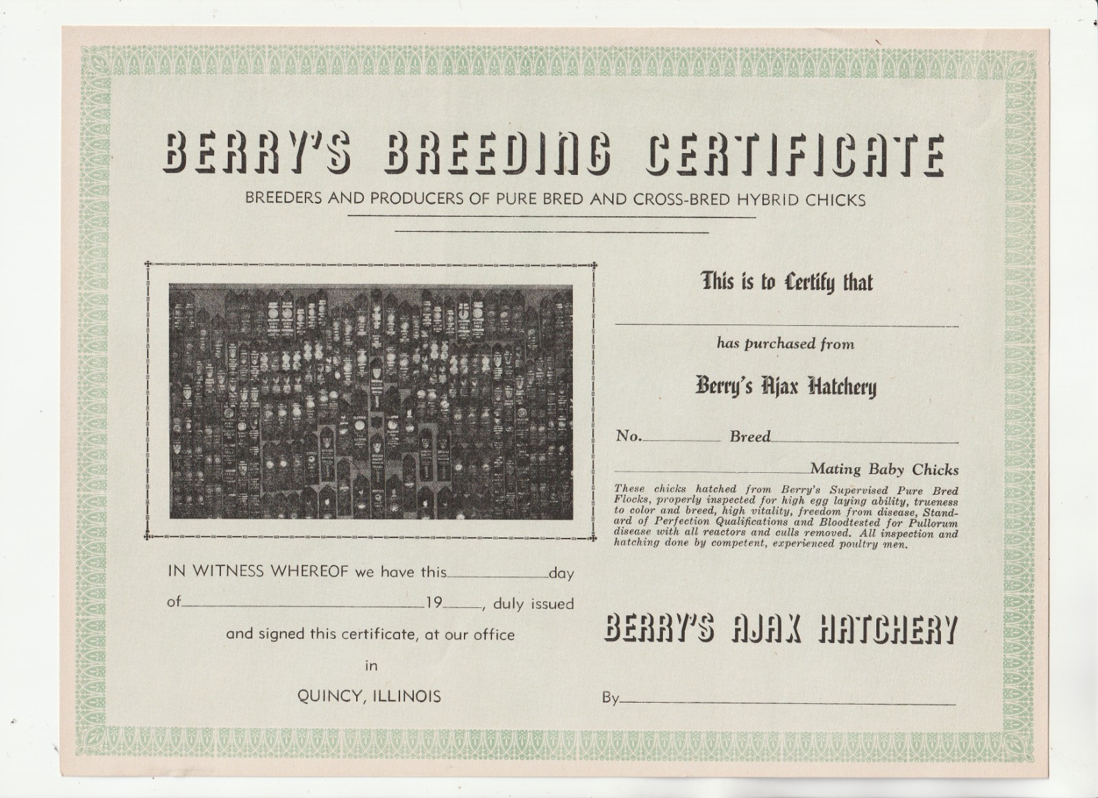 1940’S BERRY’S BREEDING CERTIFICATE – AJAX CHICKEN HATCHERY – QUINCY ILLINOIS