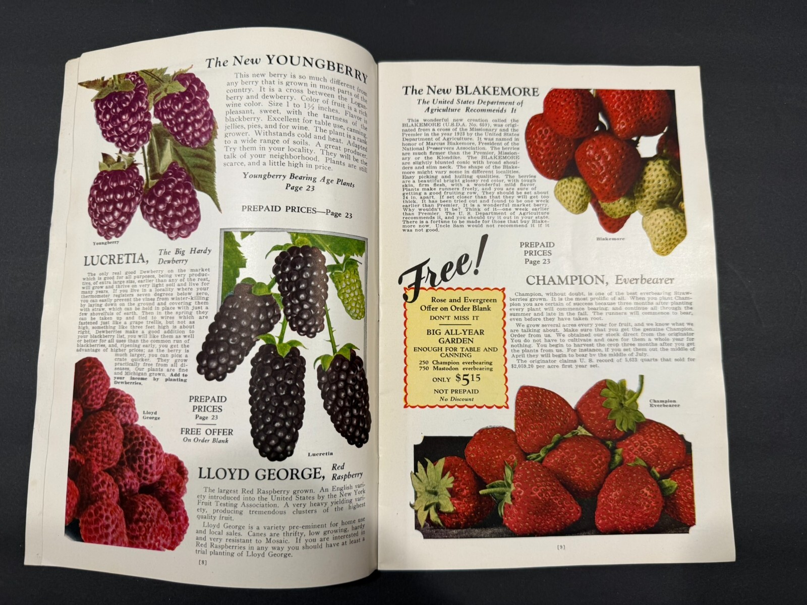 1934-39 Townsend’s & South Michigan Fruit, Flowers, Seed Brochures…..2 Items