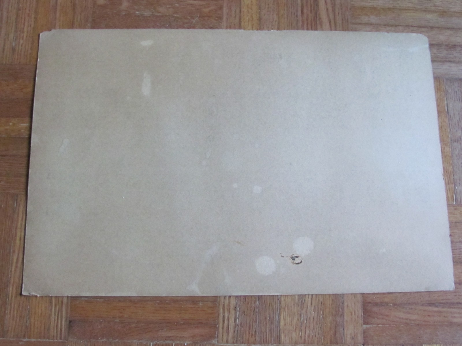 1910’S FARM HISTORY CARDBOARD SIGN DR O DYSON STATE VETERINARIAN NO SHIPPING