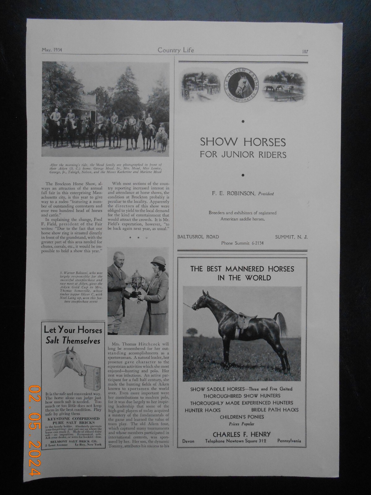 1934 Hill Girt Farm Cossart PA Grand Champion Cow Mary Lillian AD for sale Horse