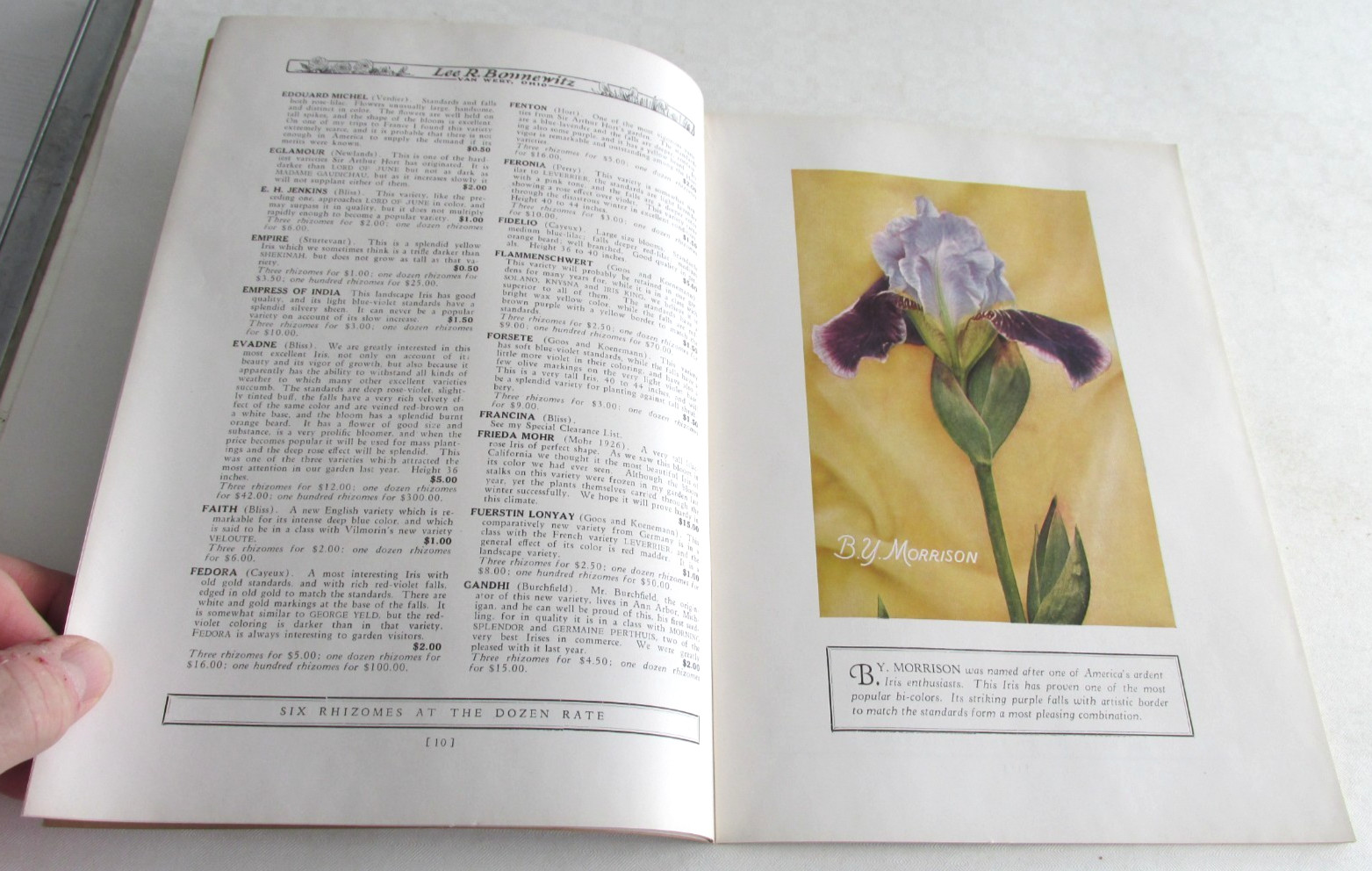 1928 VAN WERT OHIO Peonies And Irises and Poppies Catalog, Lee R Bonnewitz