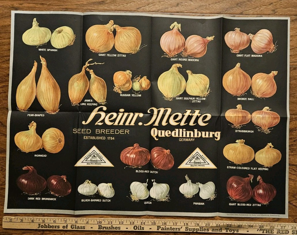 1900’s to 1930’s 27 Heirloom Onion Seed Grower Heinrich Mette Poster 27″ x 20″