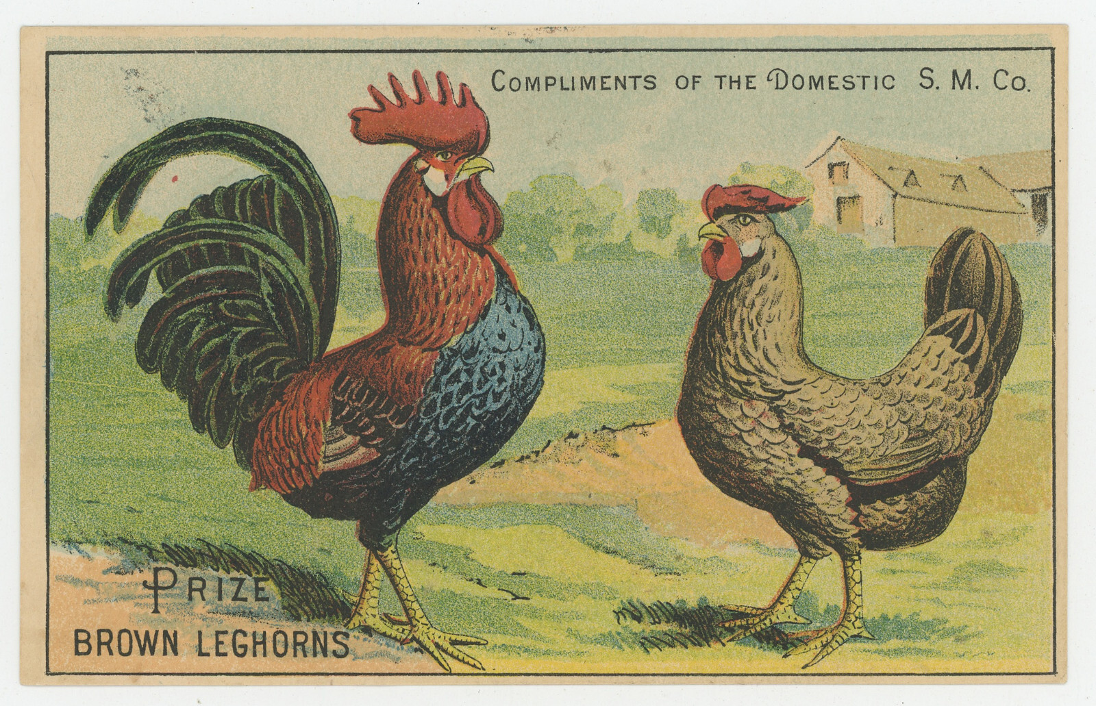 Prize Leghorns Rooster 1880’s Trade Card
