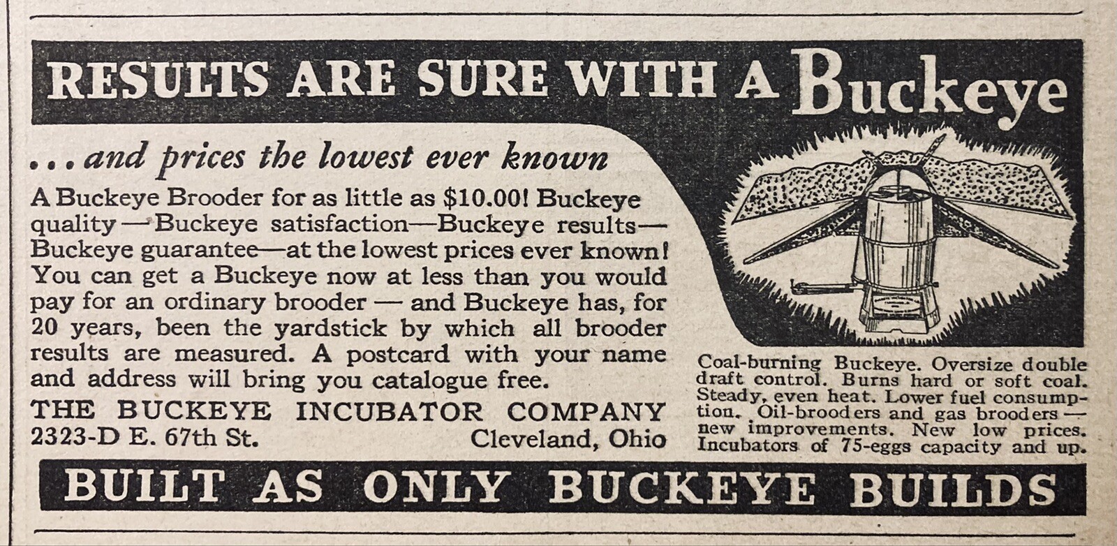 1934 AD.(XH58)~BUCKEYE INCUBATOR CO. CLEVELAND, OHIO. BUCKEYE CHICK BROODERS