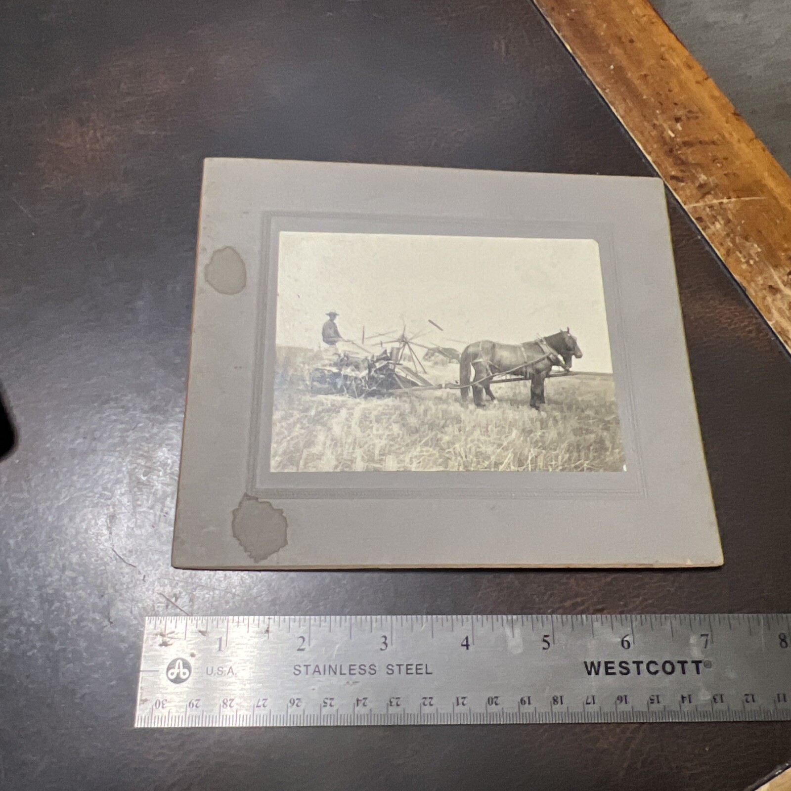 Vintage 1800s Farming Farm Implement Photograph