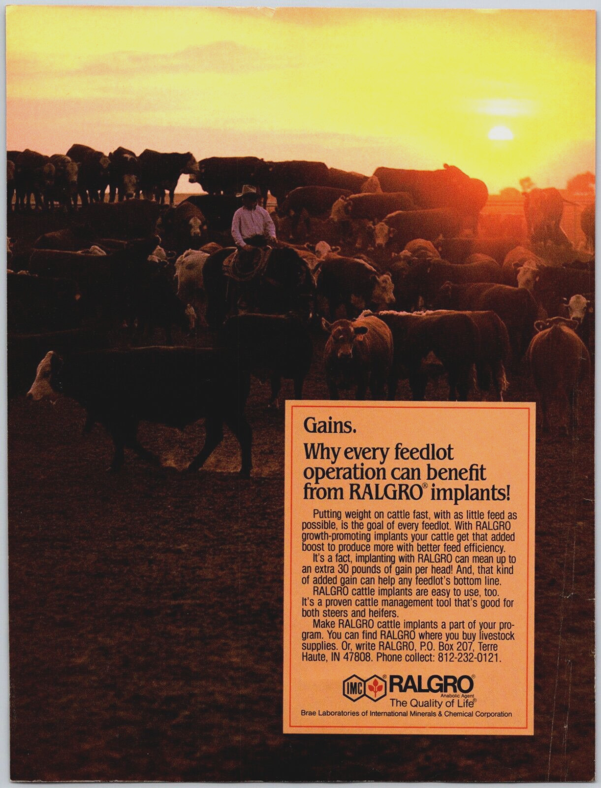 PRINT AD RALGRO Anabolic Agent 1984 Cattle Growth Implants IMC Feedlot