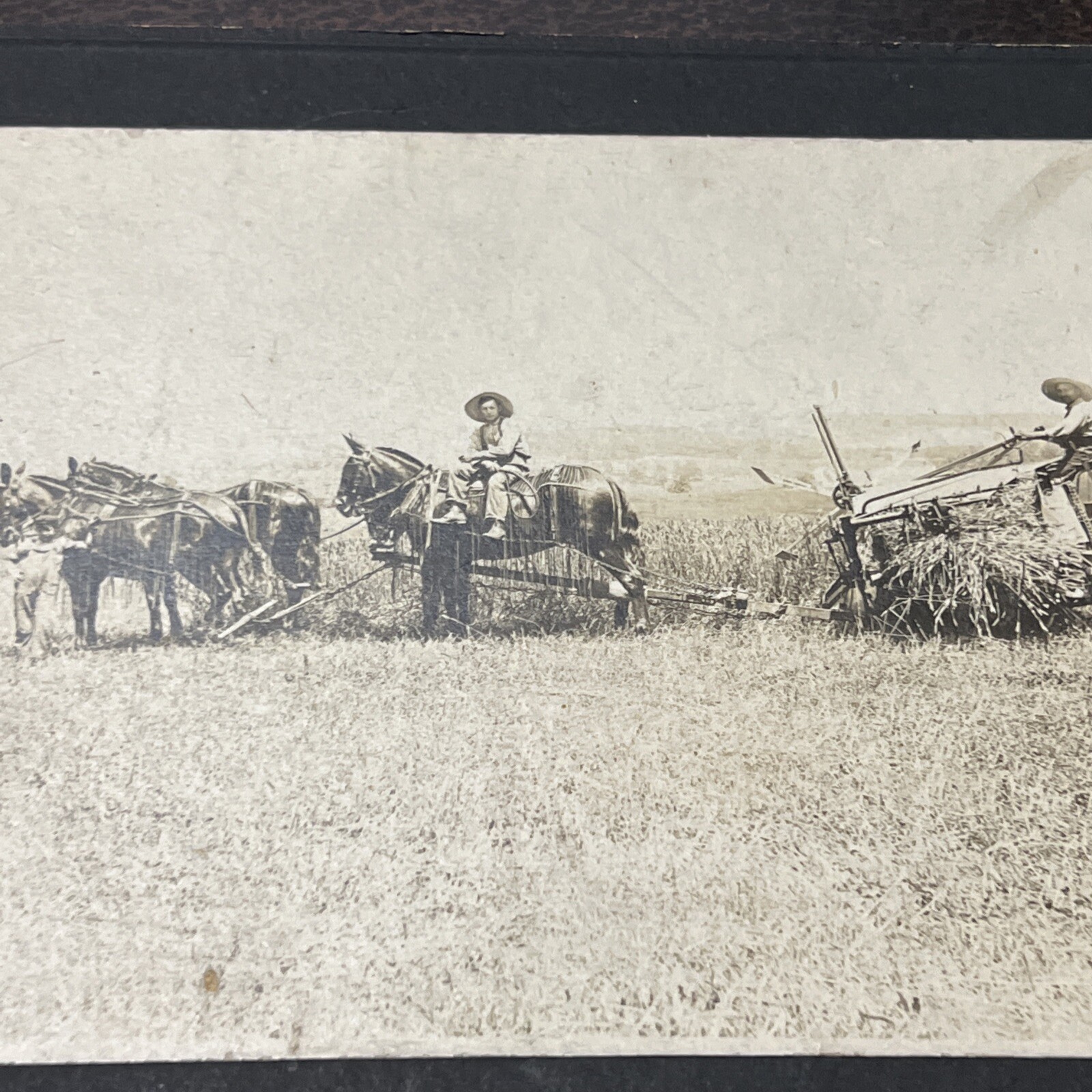 Vintage 1800s Farming Farm Implement Photograph