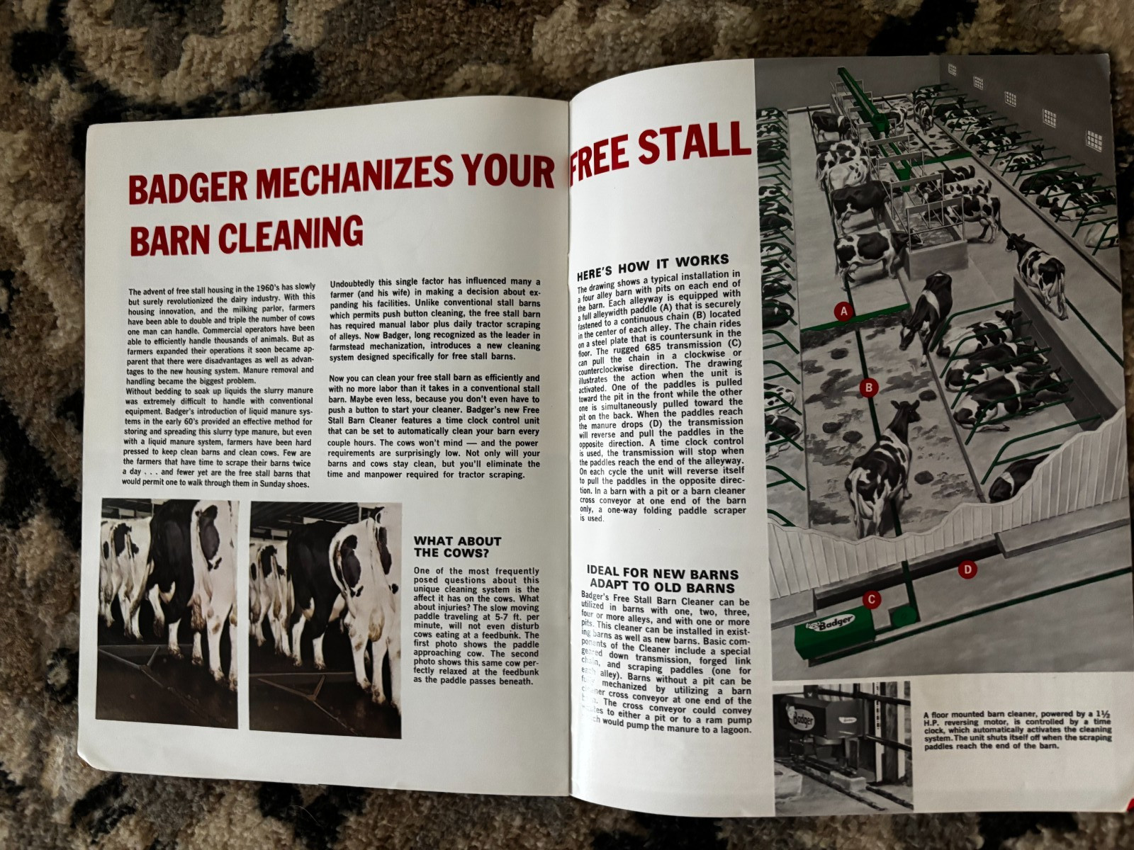 Badger Barn Cleaners For 1975 Brochure DCPA26