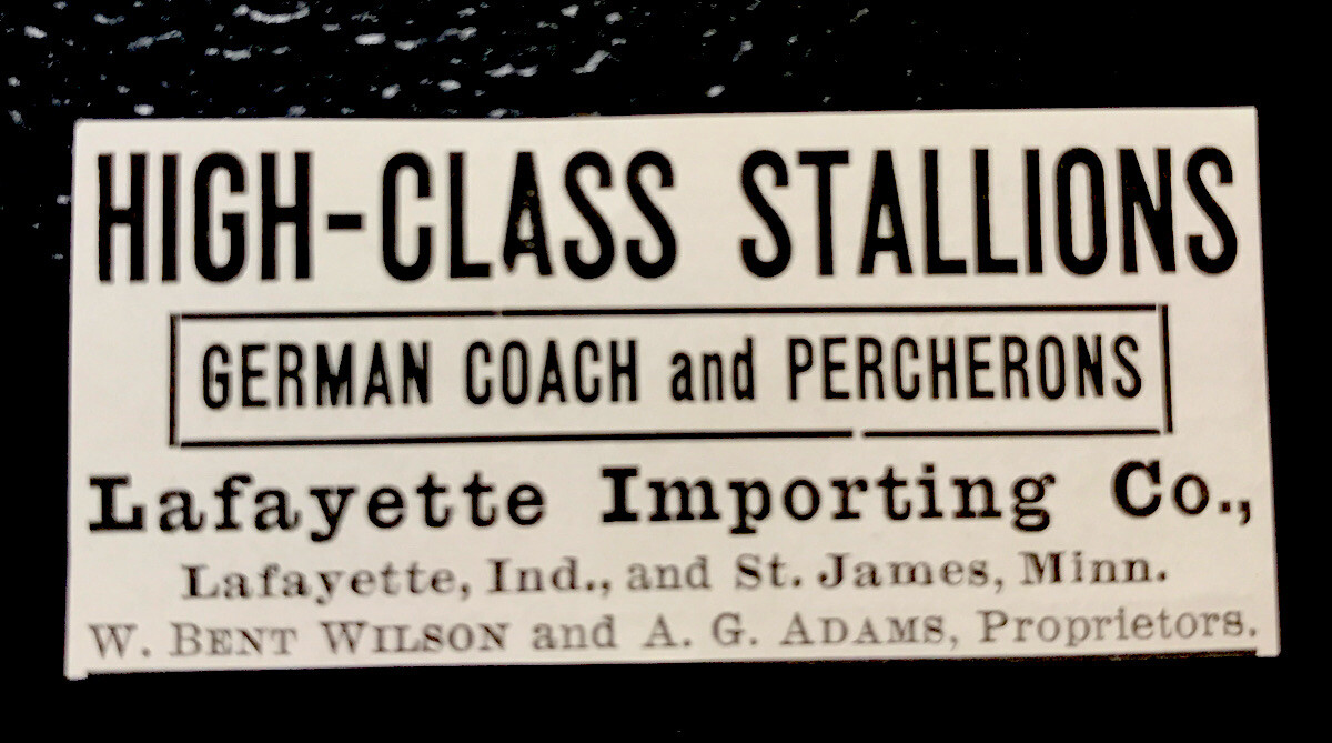 1903 Horse Advertising – Lafayette – Indiana – St. James – Minnesota – Farm