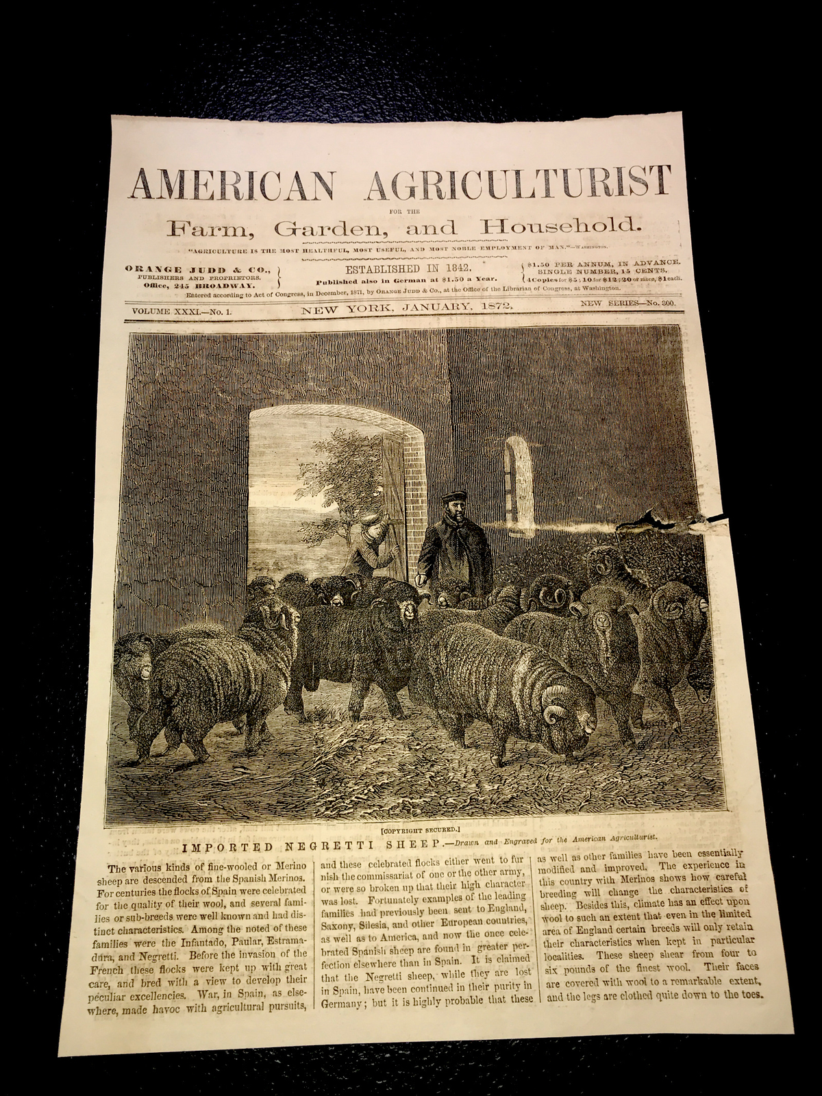 ORIGINAL 1872 Sheep Farm Engraving Advertising 8×12