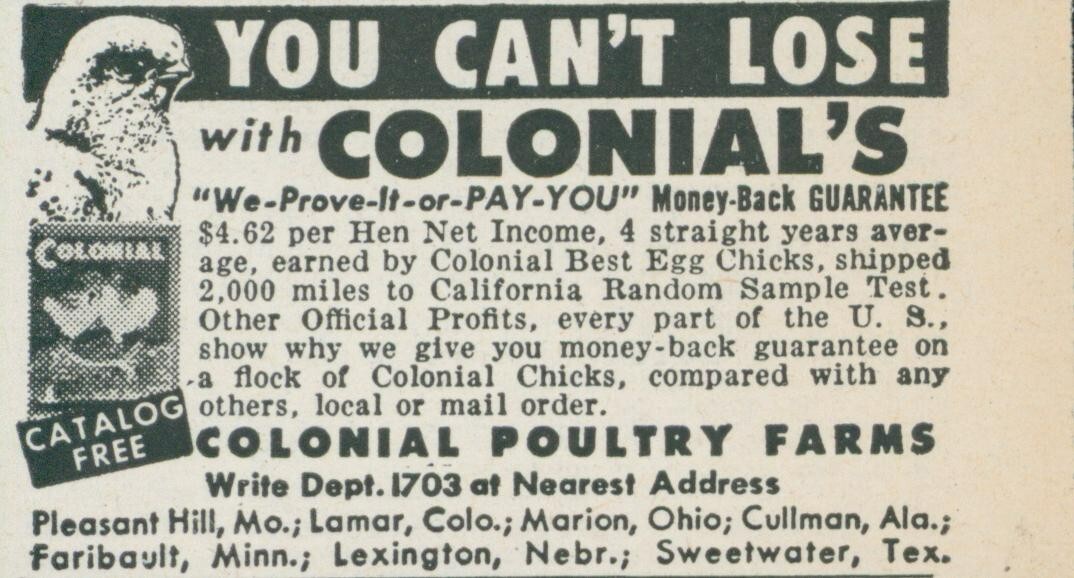 1955 Colonial Poultry Farms We Prove It Or Pay You Egg Chicks Vtg Print Ad FJ1
