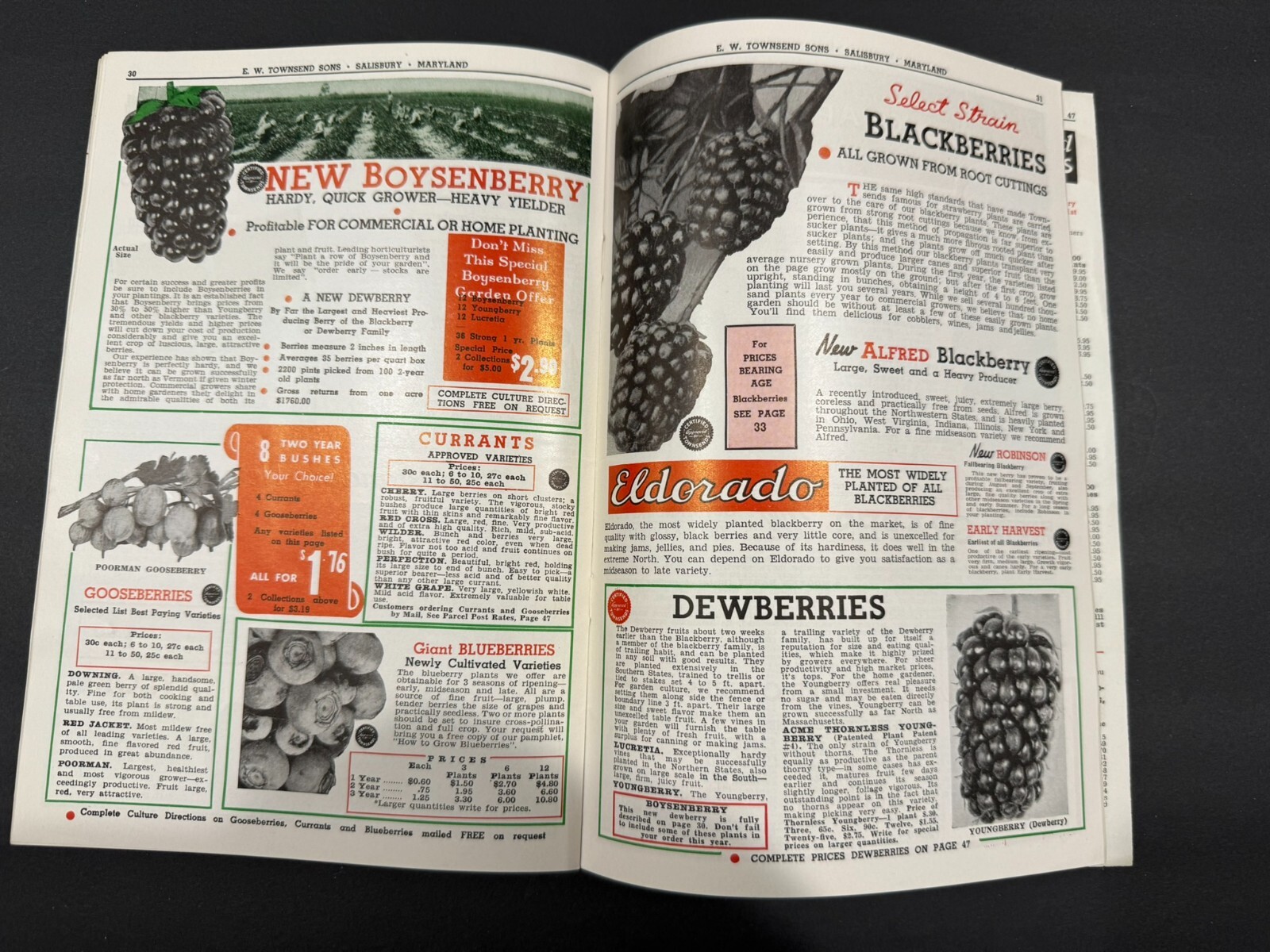 1934-39 Townsend’s & South Michigan Fruit, Flowers, Seed Brochures…..2 Items