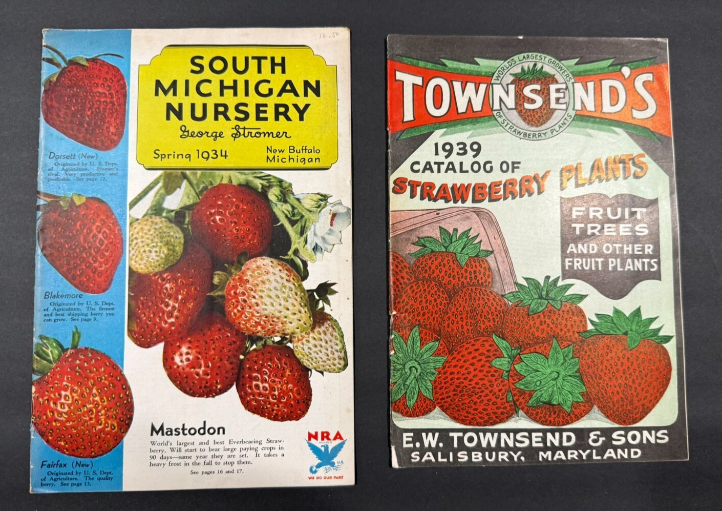 1934-39 Townsend’s & South Michigan Fruit, Flowers, Seed Brochures…..2 Items