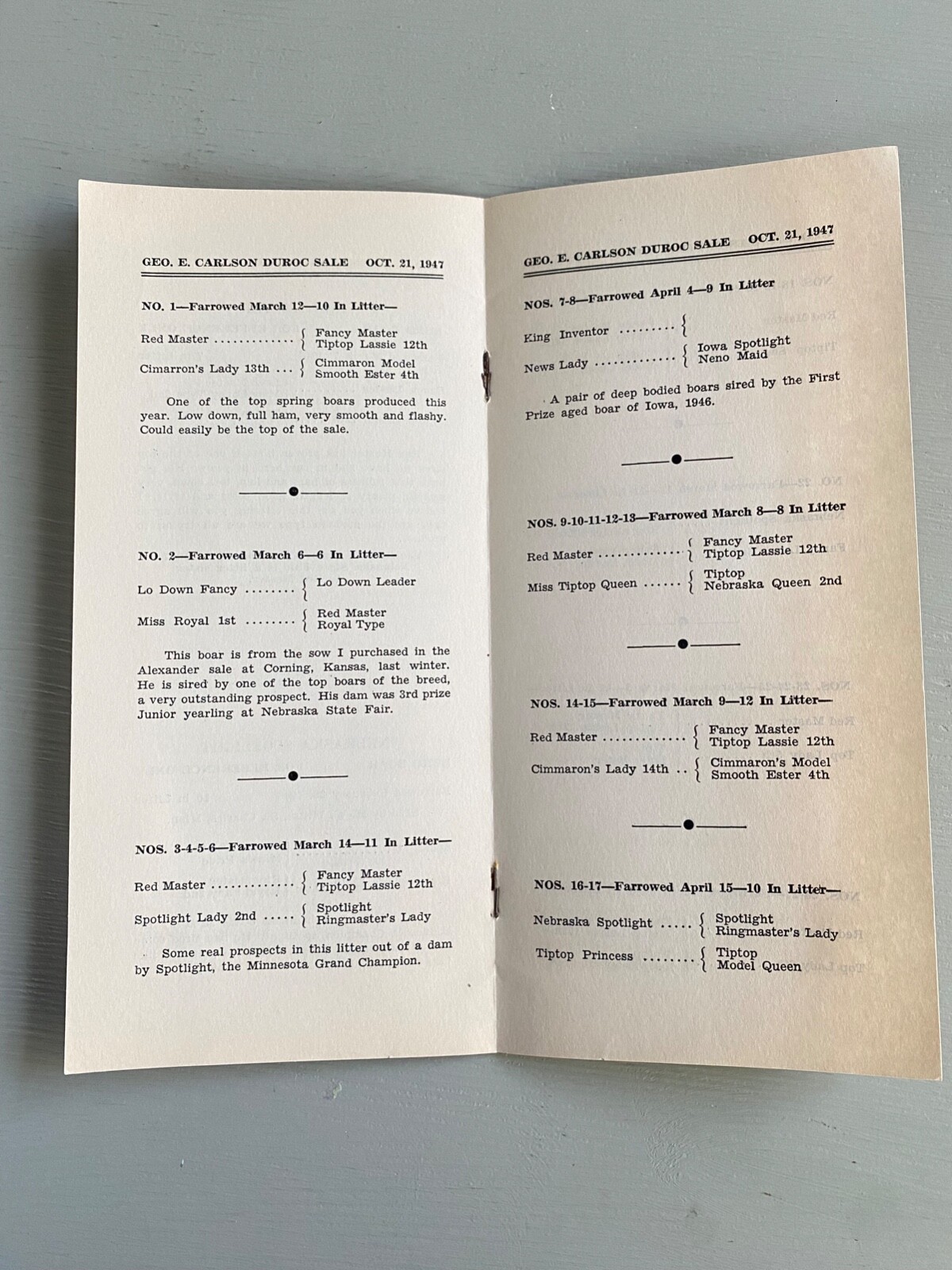 Vintage Durocs Boar Hogs Pigs Sale Catalog Book Saronville Nebraska 1947 Farm Ag