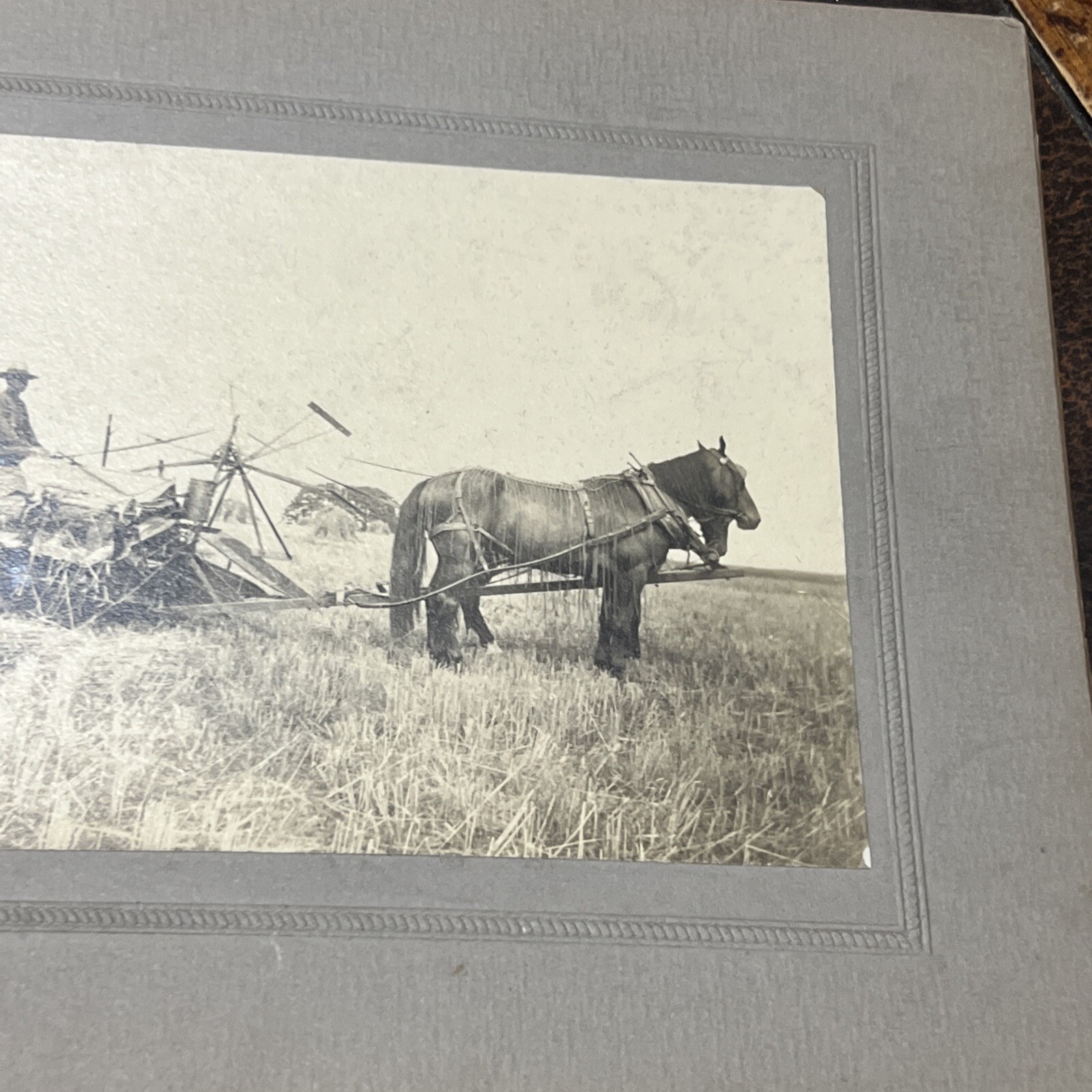 Vintage 1800s Farming Farm Implement Photograph