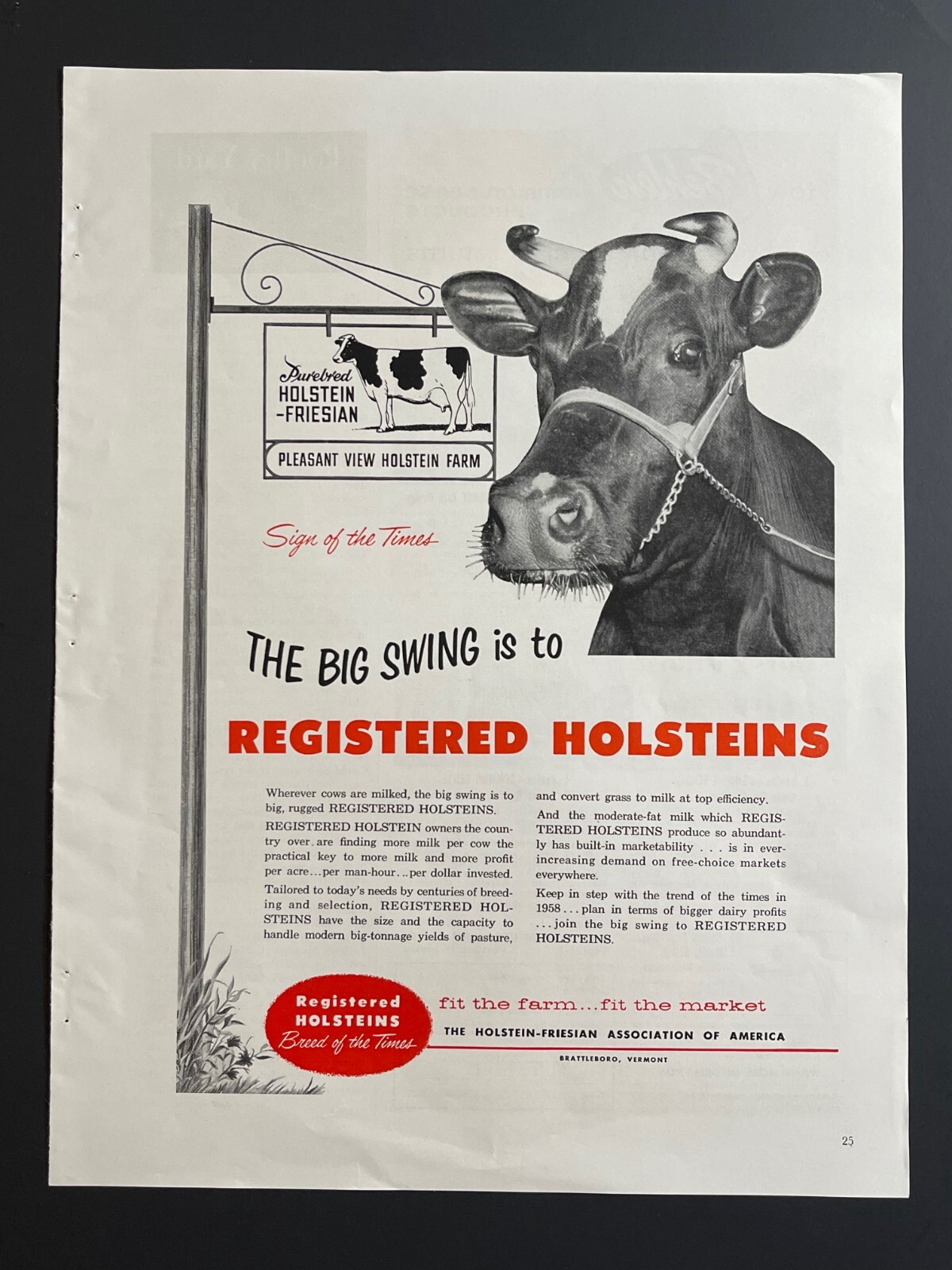 1950s “Milk” Registered Holsteins -Original Print Advertisement (9.5in x 13in)