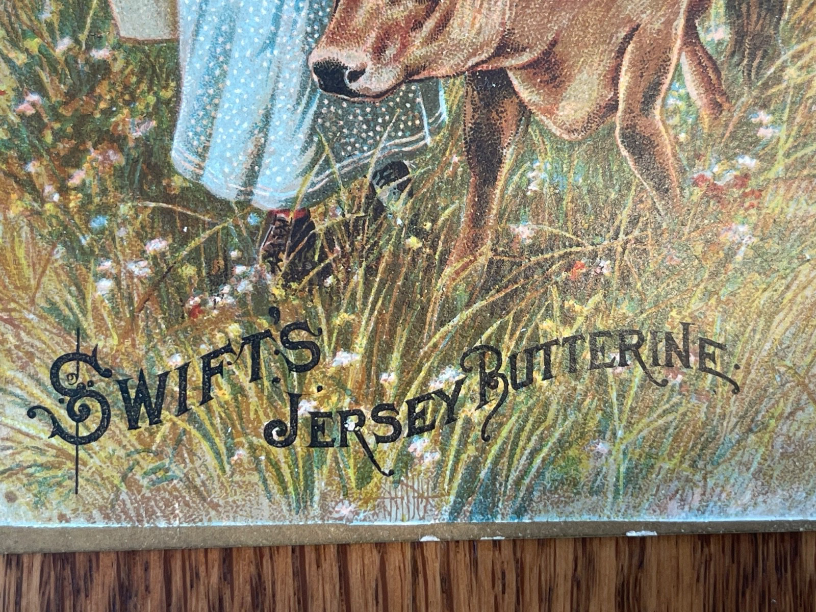 Swift’s Jersey Butterine 1880s Advertising Card, Union Stock Yards, Chicago