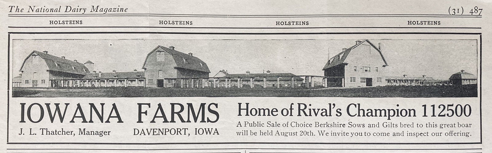 1912 AD.(XH66)~IOWANA FARMS, DAVENPORT, IOWA. BERKSHIRE SOWS & GILTS SALE
