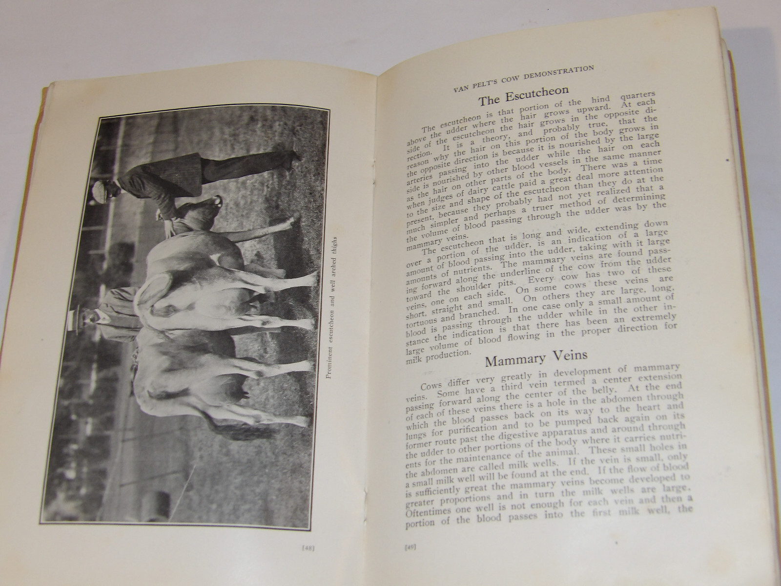 1911 VAN PELT’S COW DEMONSTRATION BOOK! 1st EDITION! ILLUSTRATED! 5 ESSENTIALS!