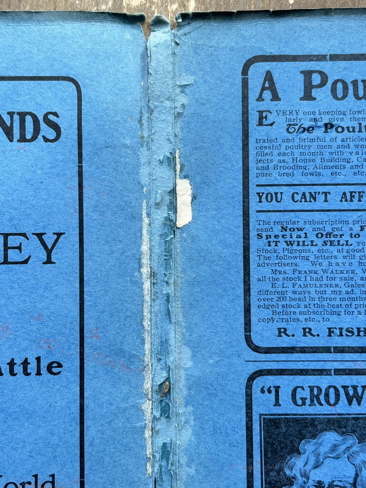 Antique Vintage 1904 CC SHOEMAKER’S ALMANAC CATALOG Poultry Advertising Freeport