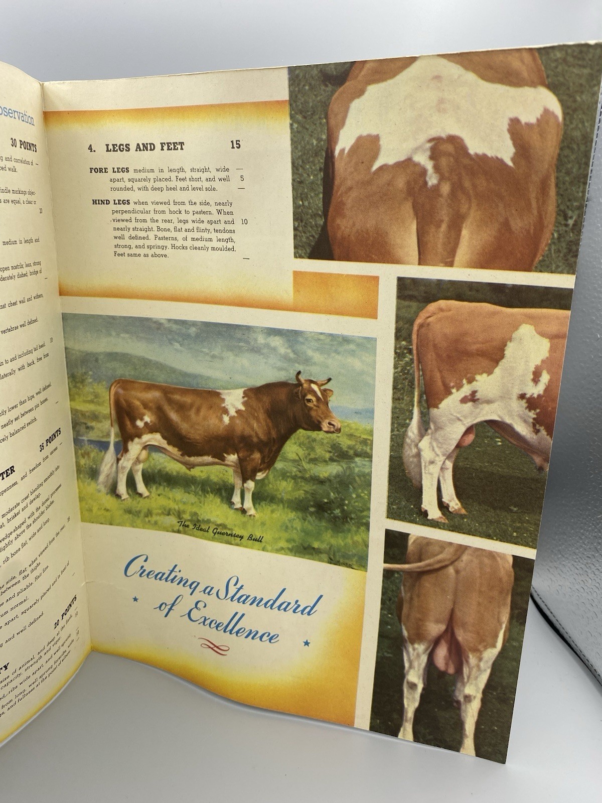 American Guernsey Cattle Club Booklet “Creating a Standard of Excellence”