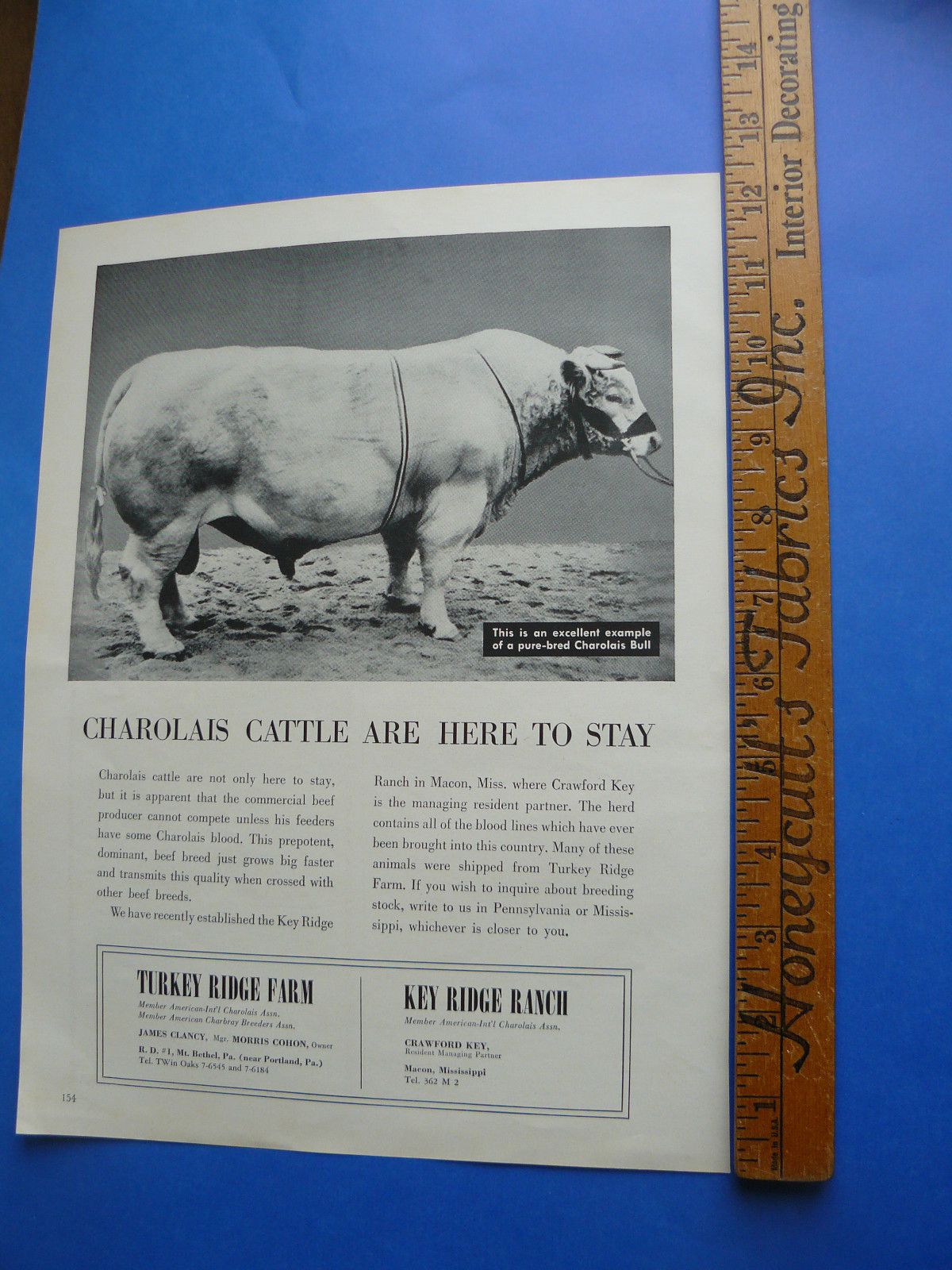 FARM QRTLY-SPRING 1963-AD-CHAROLAIS Turkey Farm, PA and Key Ridge Ranch, MS