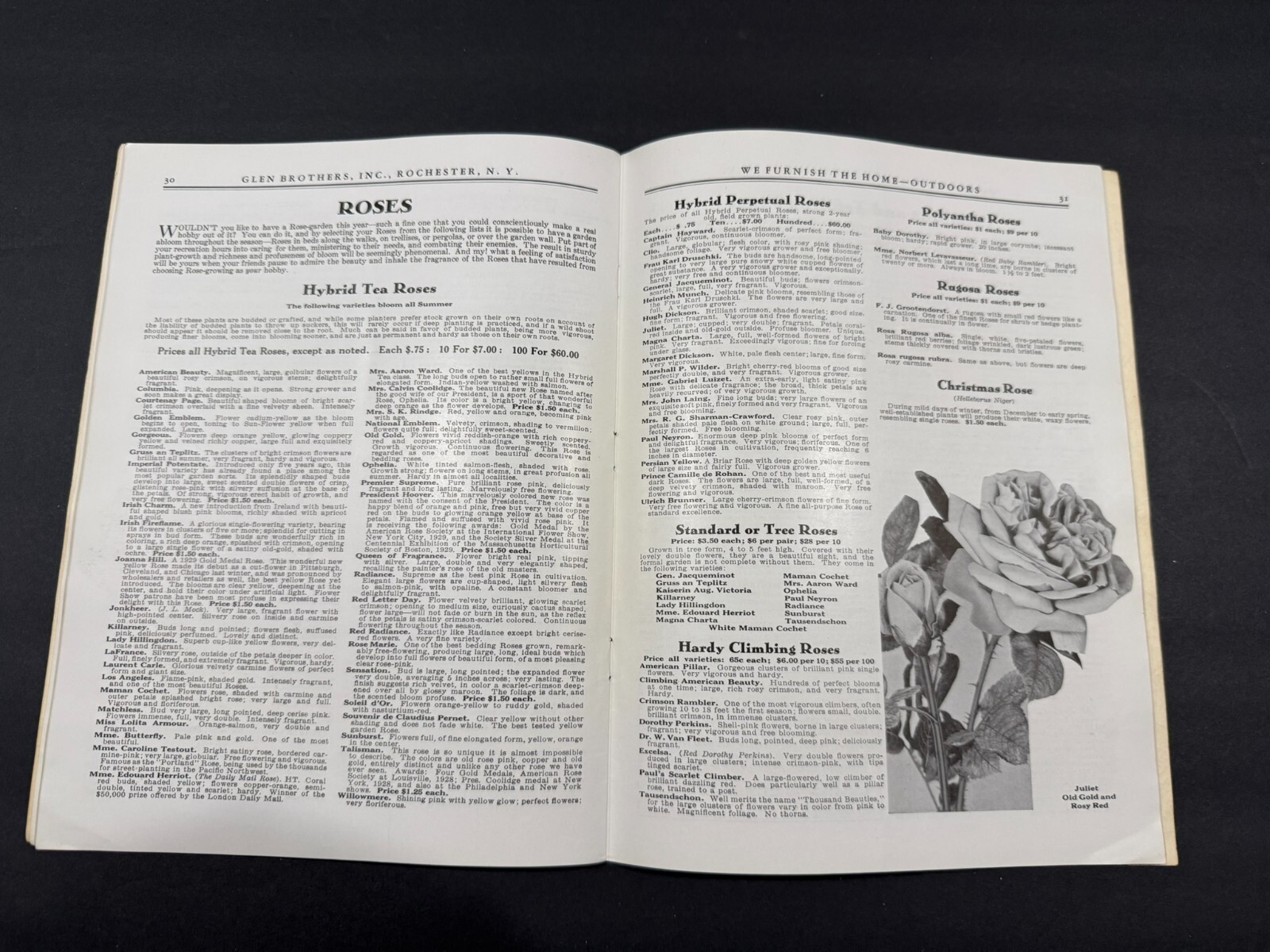 1930’s Glen Brothers & HB Burdick’s Fruit, Flowers, Seed Brochures…..2 Items