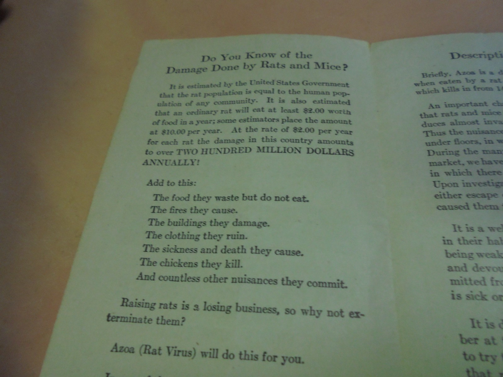 Vintage 1927 Brochure Kill the rat and Save the Loss Azoa Rat Virus