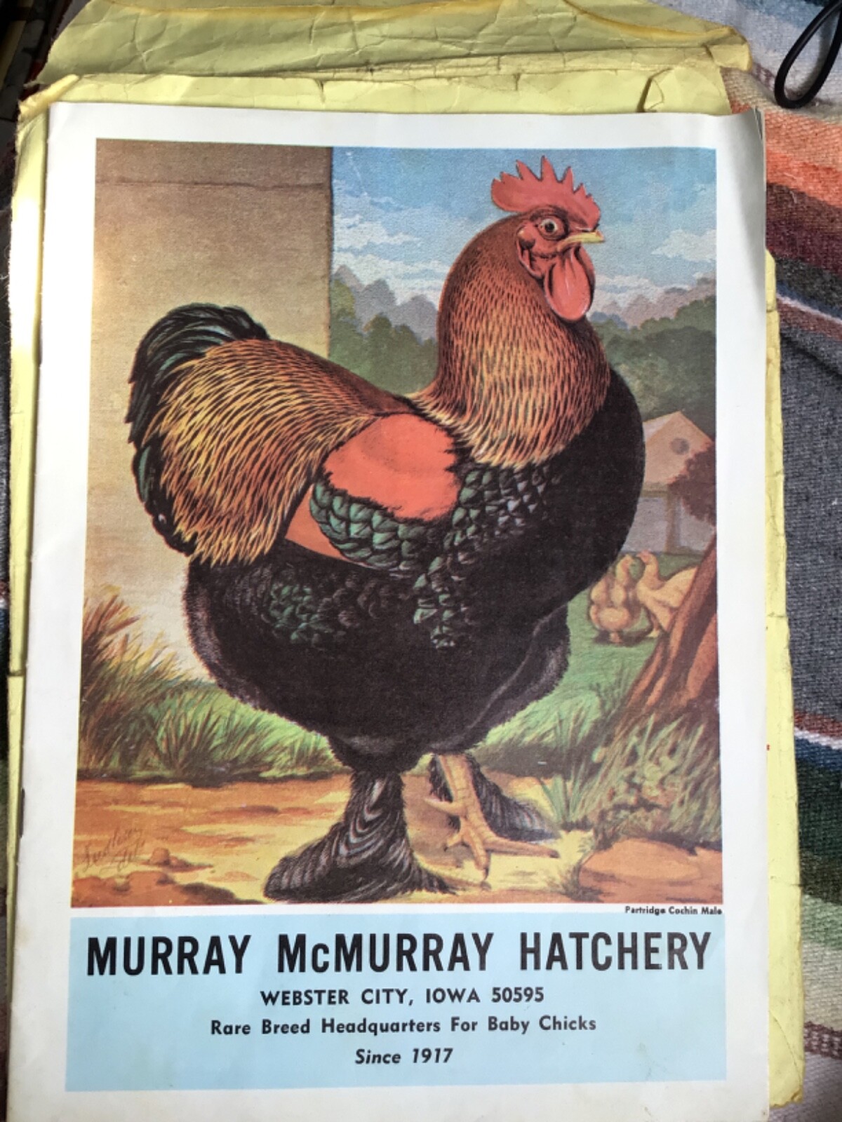 VTG 1970 RARE Chicks Color CATALOG/Guide~”MURRAY McMURRAY HATCHERY”~Iowa~(J)