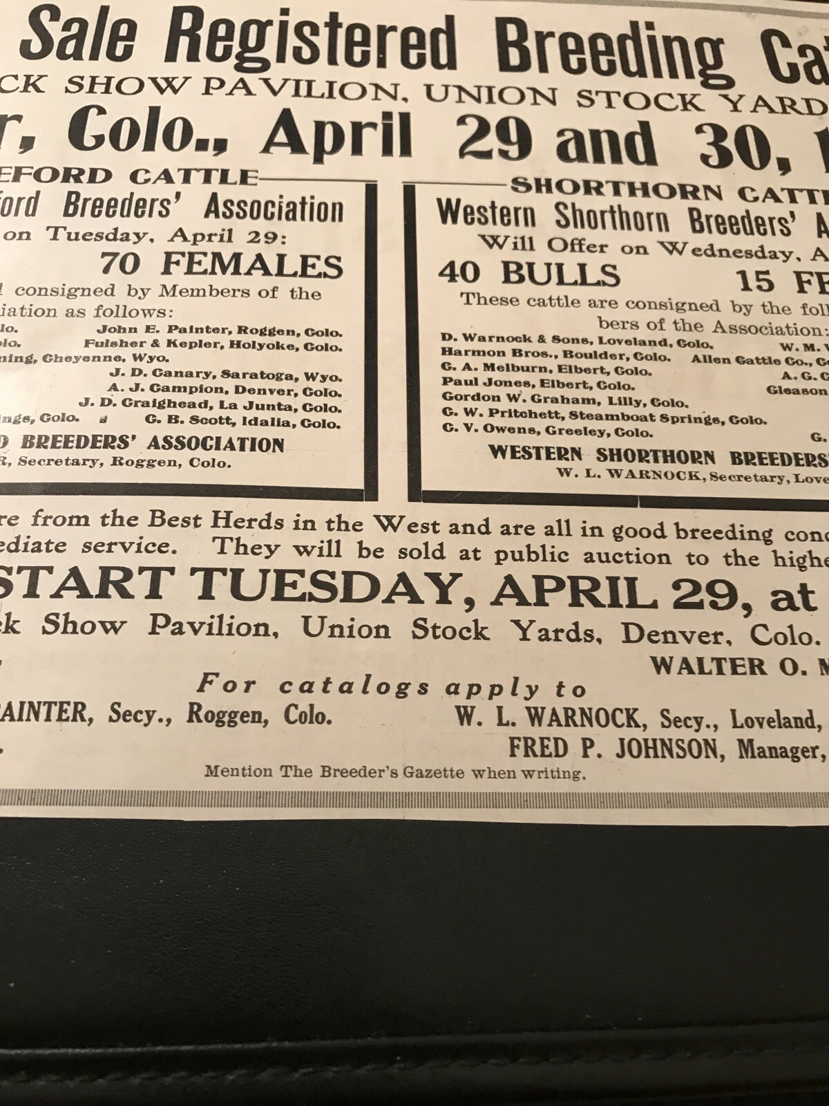1919 Breeding Cattle Public Sale – Cow – Denver – Colorado