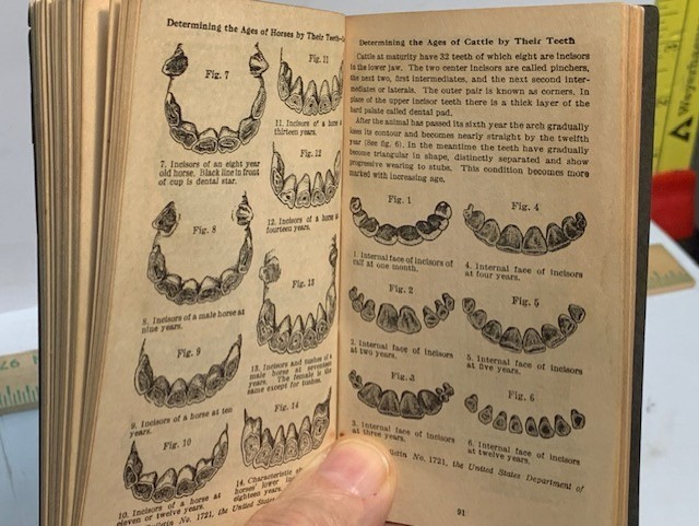 1939 DELAVAL DIARY & FARMERS POCKET HANDBOOK USEFUL INFO 148 PAGES 4.75’X2.75”.