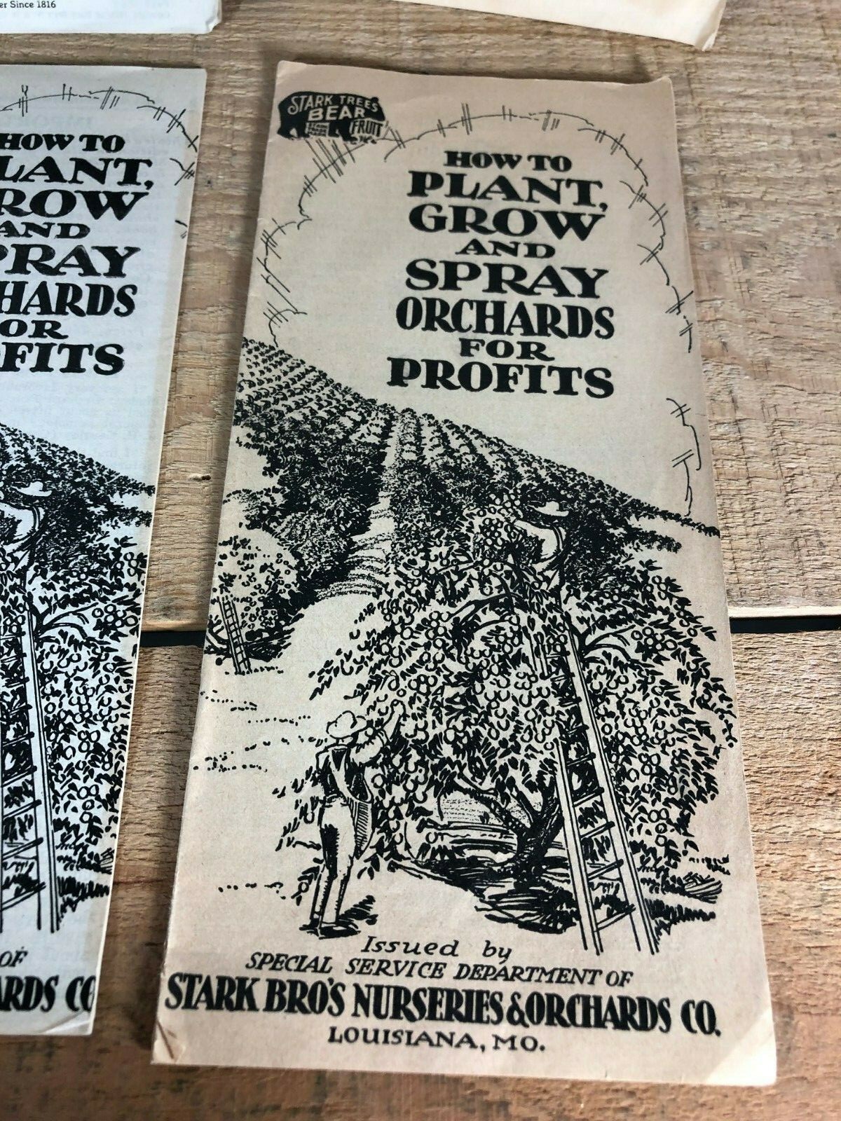 4 Vintage 1930s Stark Bro’s Nurseries Orchard Fruit Trees Brochures Catalogs