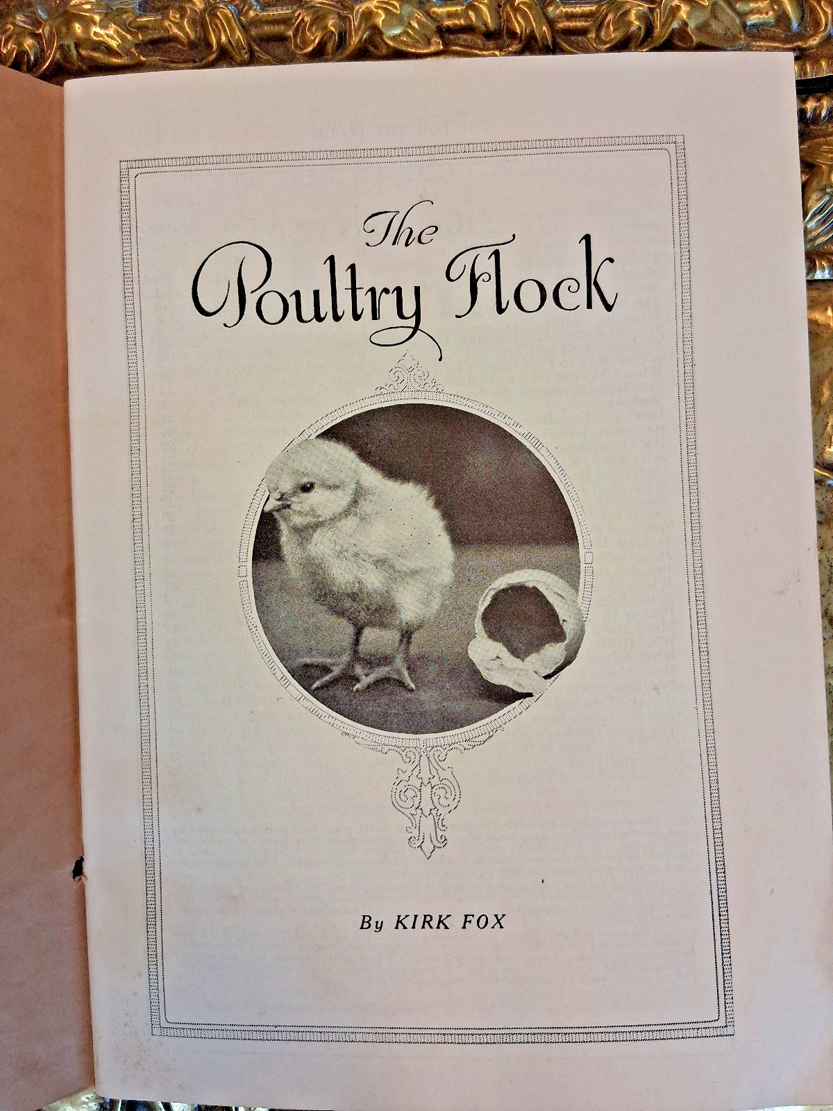 VTG 1928 The Poultry Flock Brochure with Envelope De Moines, Iowa by Kirk Fox