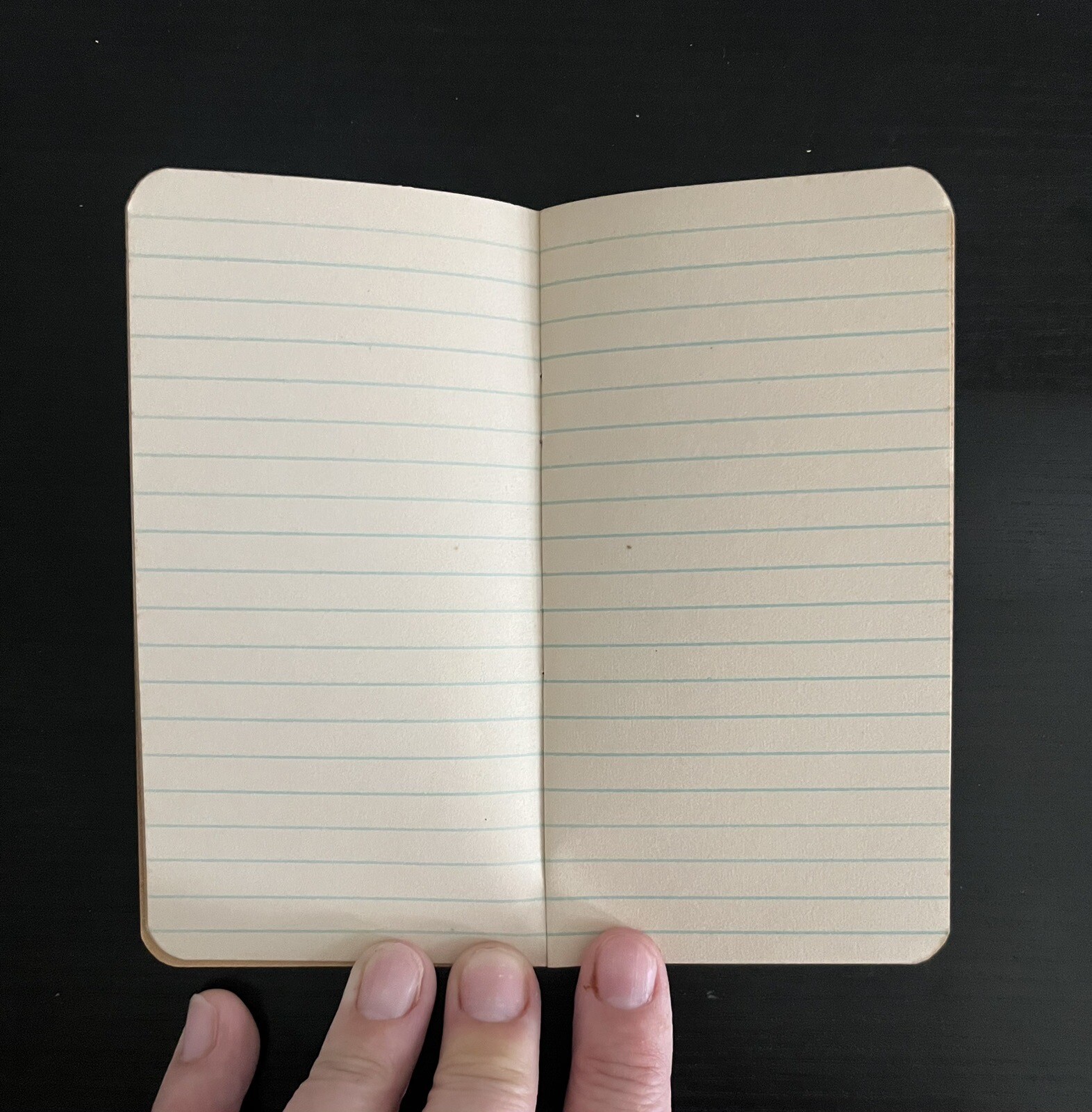 Baugh’s Animal Bone Manures Fertilizers Memo Book Vintage Unused Philadelphia