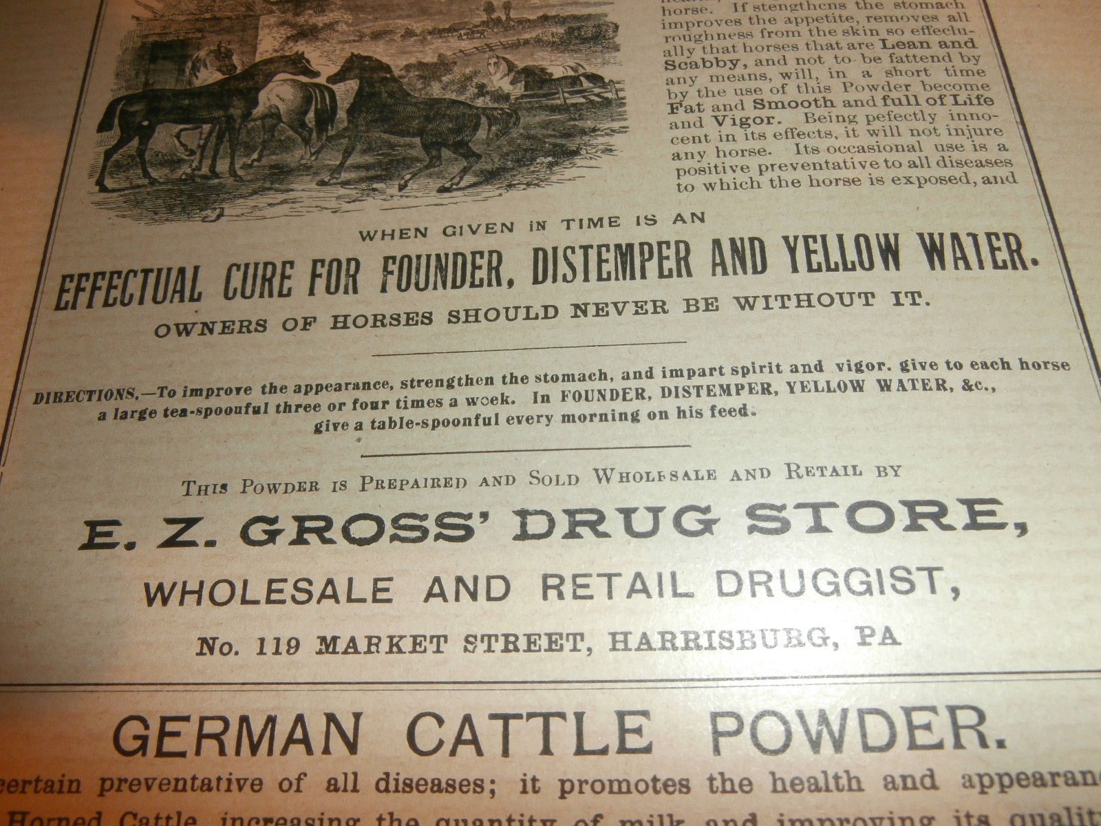 Harrisburg PA E Z Gross Drug Store German Horse Cattle Powder 1800’s Paper Ad