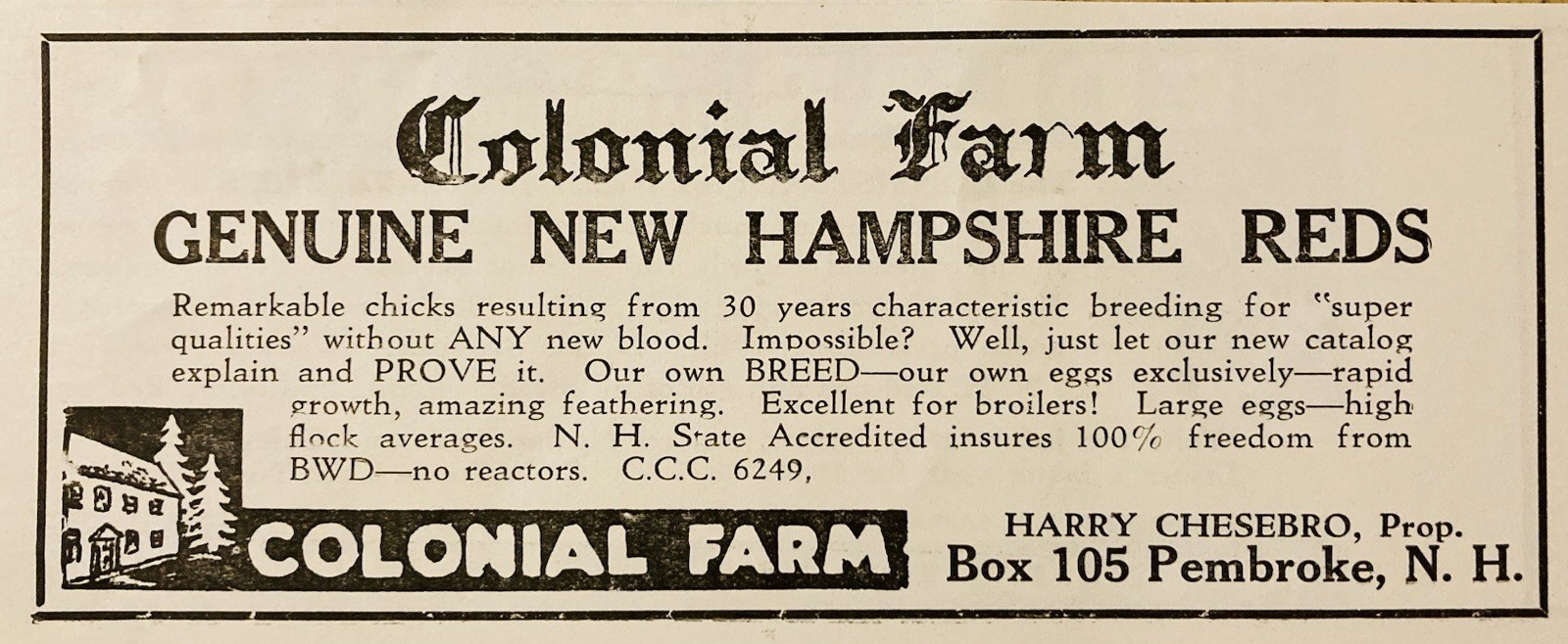1934 AD.(XH82)~COLONIAL FARM, PEMBROKE, NH. GENUINE NEW HAMPSHIRE REDS