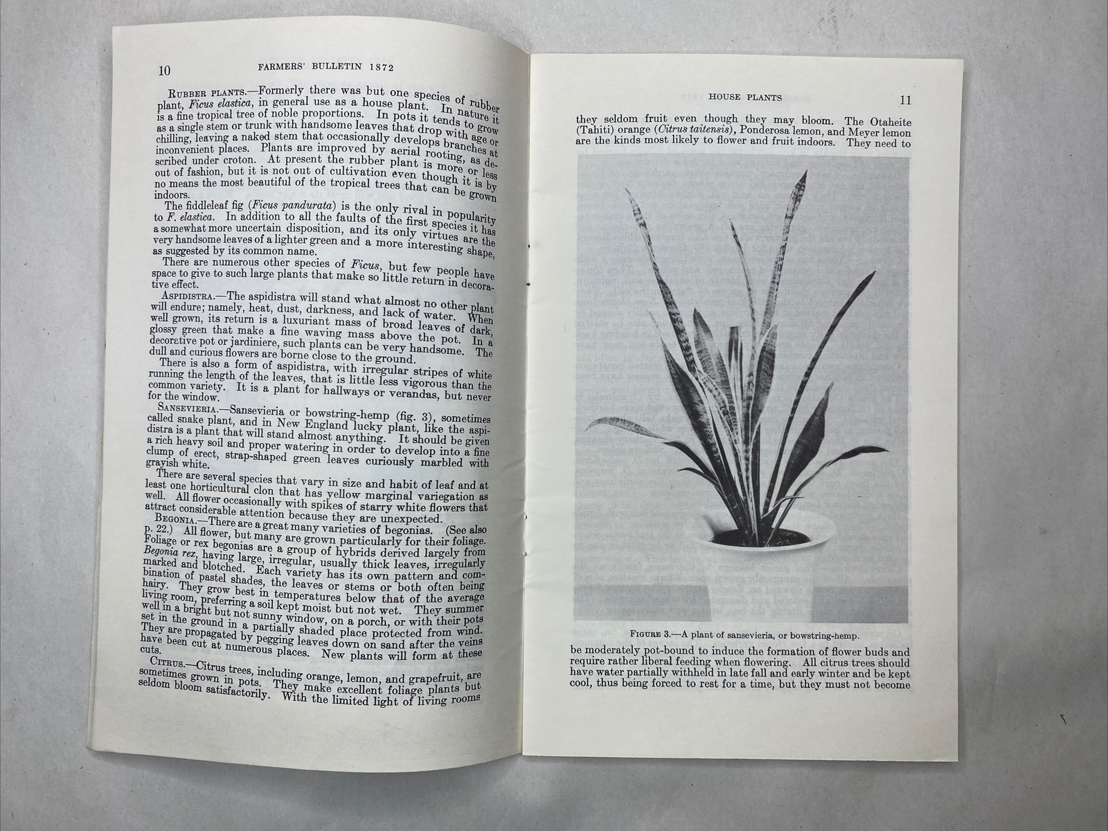 1946 USDA Farmers’ Bulletin No. 1872 House Plants Furman Lloyd Mulford