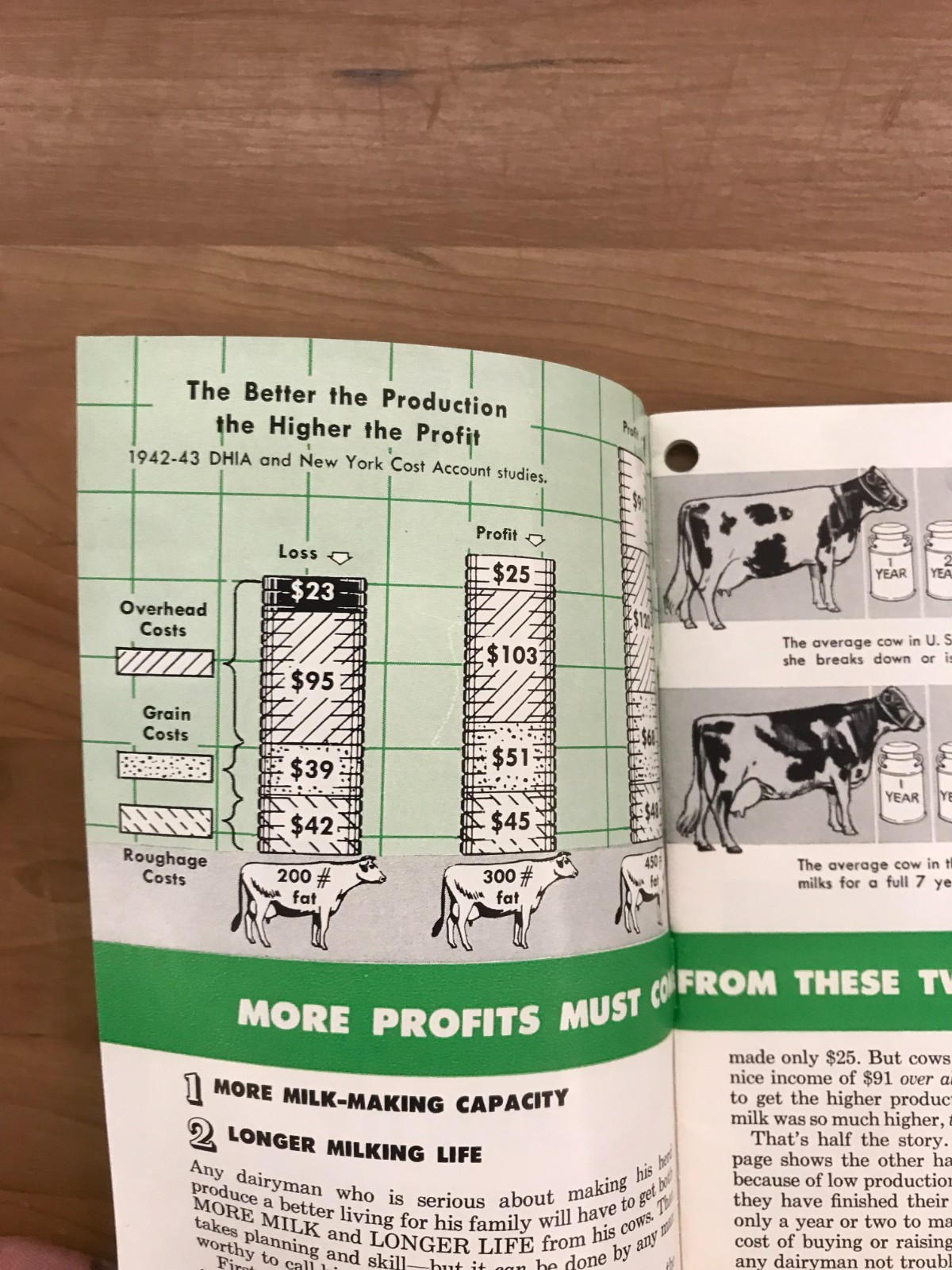 Vintage Purina Dairy Book – Building Your Herd’s Milk Making Capacity Booklet