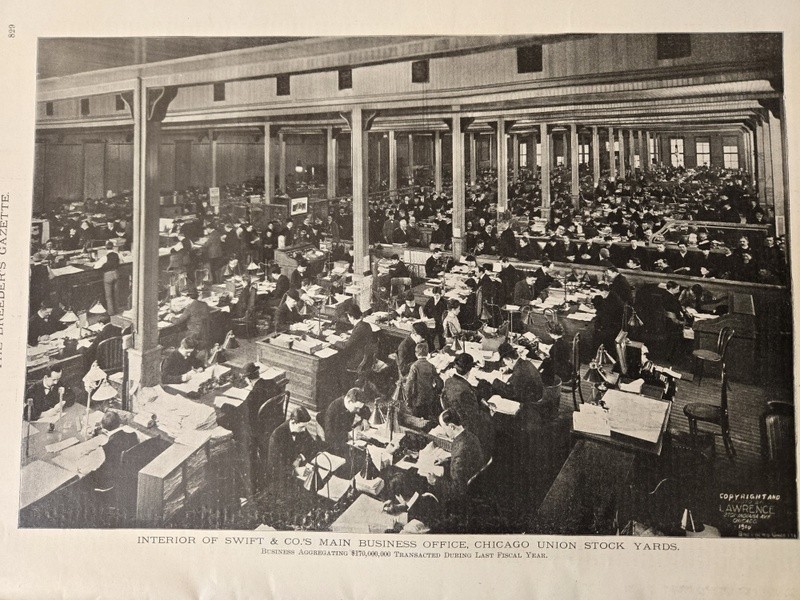 Nov 13, 1901 Breeder’s Gazette Weekly Union Stock Yards Intl Exposition Chicago